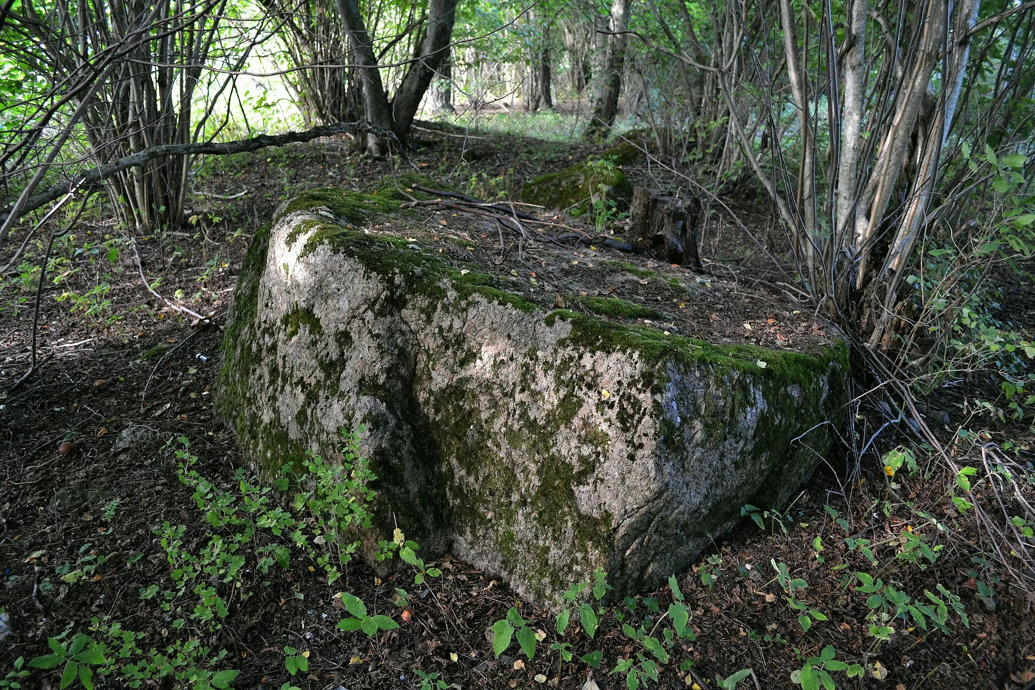 Photo showing: This is a photo of cultural heritage monument of Estonia number