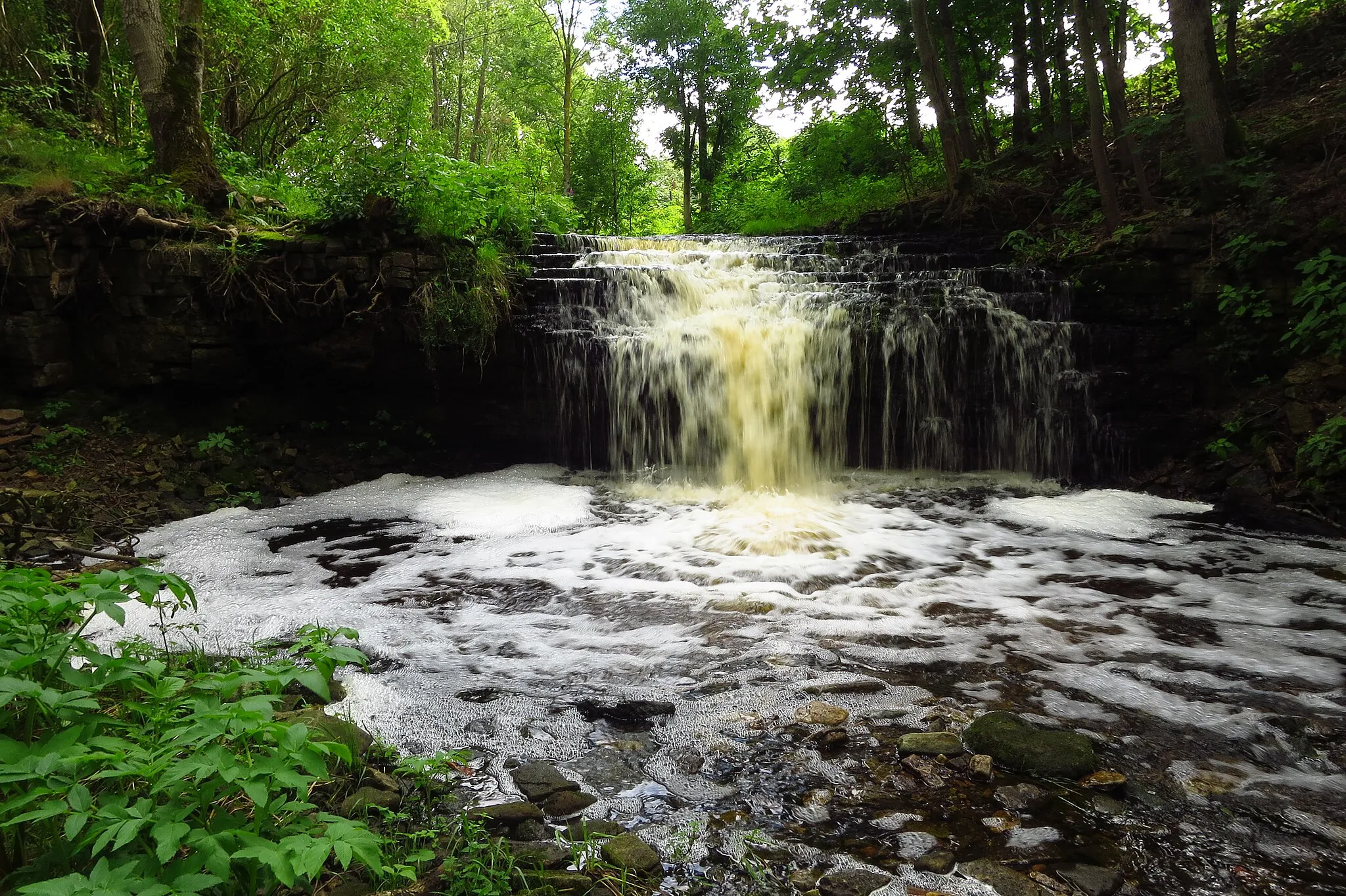 Photo showing: Tõrvajõe juga