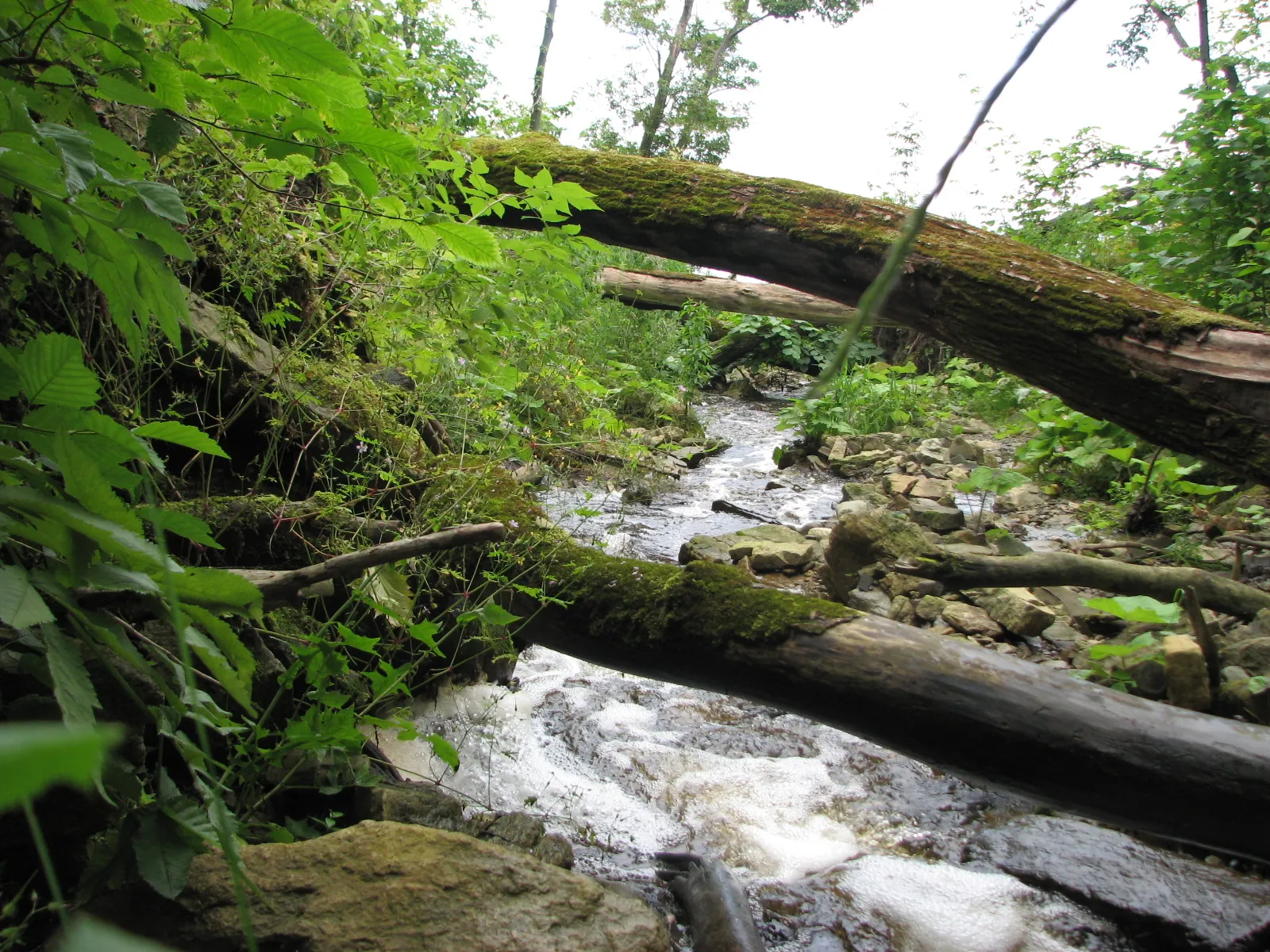 Photo showing: Valaste falls, Ontika, Estonia. Summer 2008