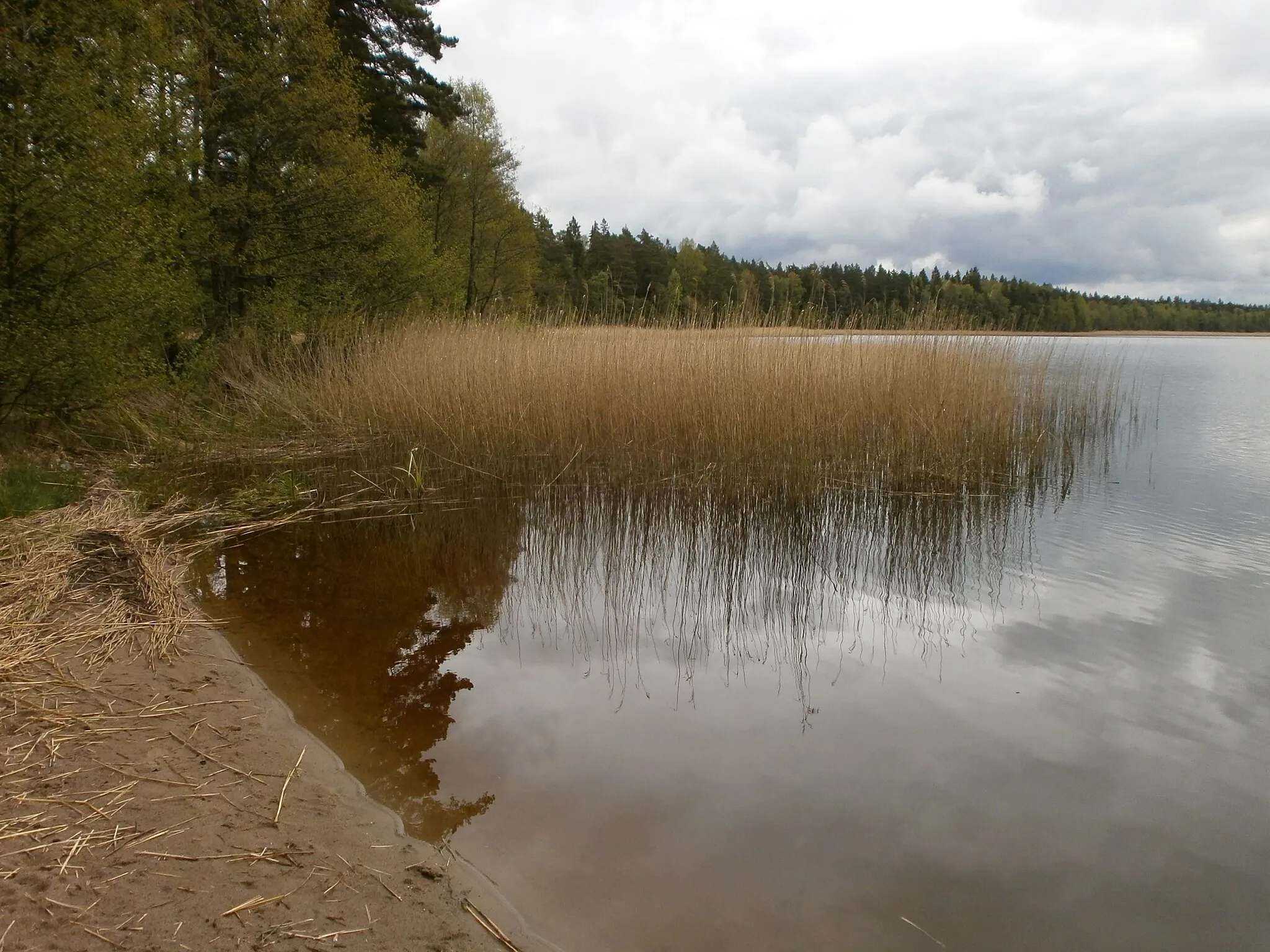 Photo showing: Lohja järv Harju maakonnas Loksa lähedal, pildistatud 2015. aastal