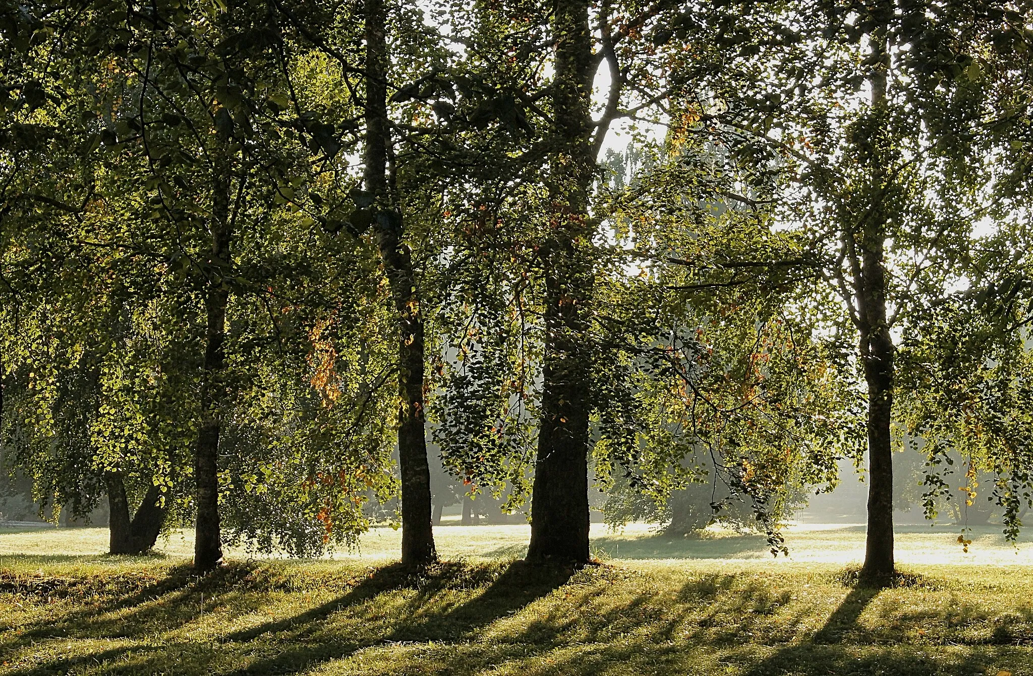 Photo showing: Mõnus septembrihommik, Uuemõisa park, Ridala vald, Läänemaa