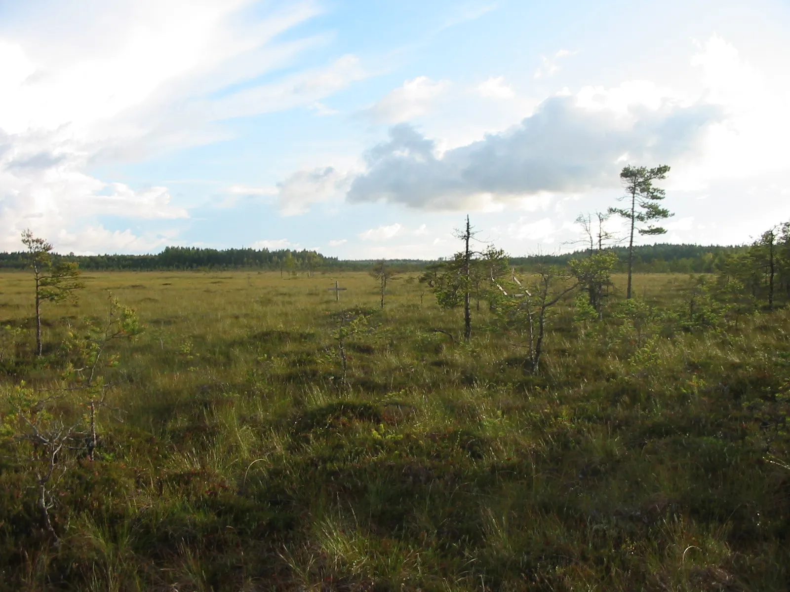 Photo showing: Eksyssuo in Loimaa, Finland, at the site of the true events that the radio drama "Eksyssyuon lapset" by Pirkko Jaakola was based on