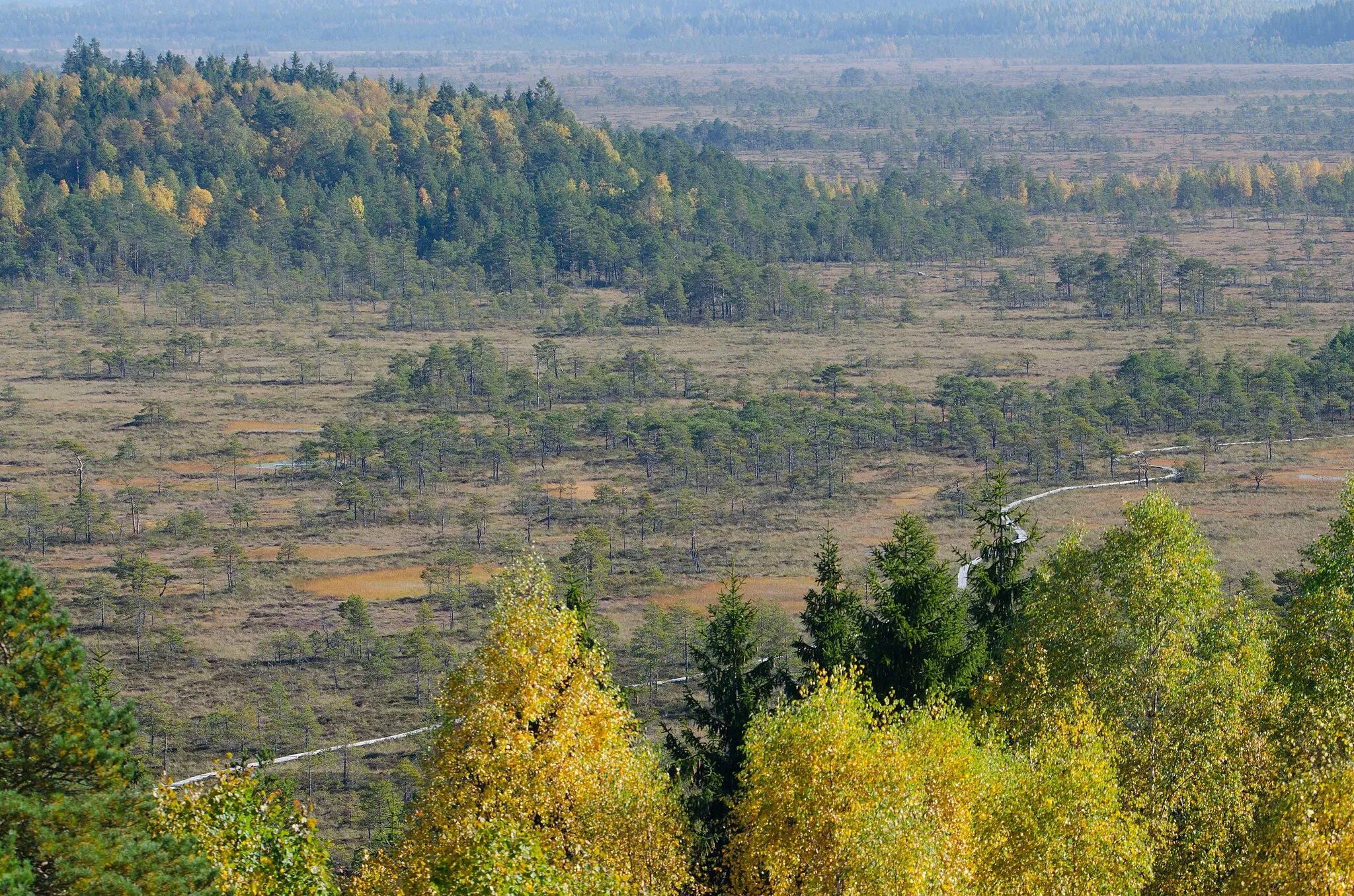 Photo showing: Torronsuo National Park - Kiljamo Scenic Tower. Nice view from Kiljamo scenic tower. I used Tamron 150-600mm to be able to see more details. Kiljamo scenic tower, Torronsuo National Park, Tammela, Finland. 25.9.2017