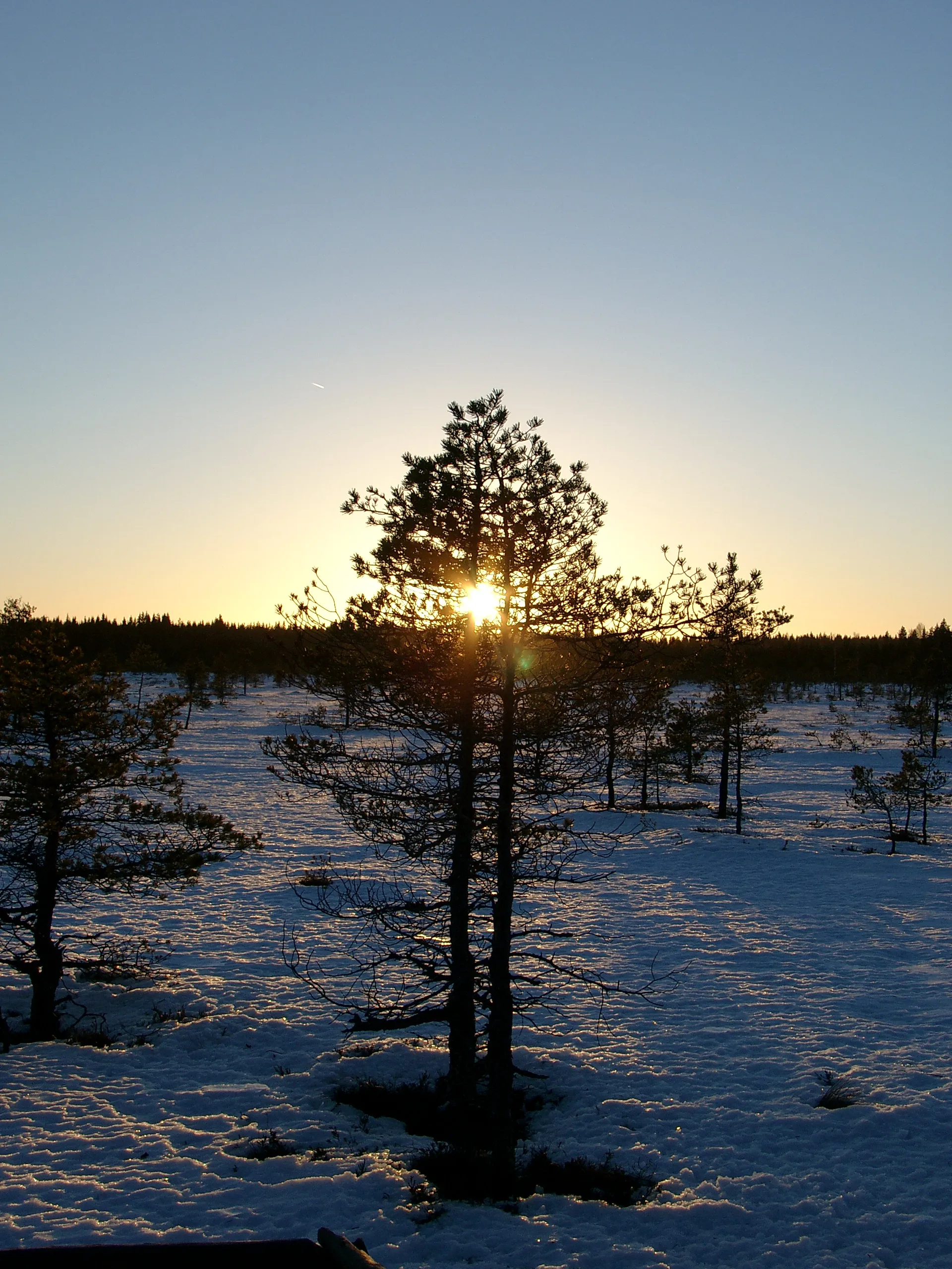 Photo showing: Torronsuon kansallispuisto - Torronsuo National Park