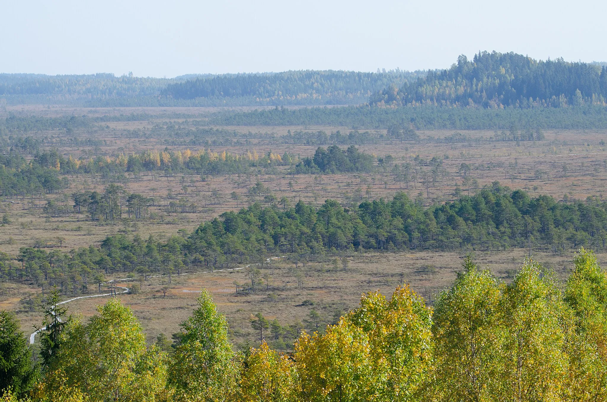 Photo showing: Torronsuo National Park - Kiljamo Scenic Tower. Nice view from Kiljamo scenic tower. I used Tamron 150-600mm to be able to see more details. Kiljamo scenic tower, Torronsuo National Park, Tammela, Finland. 25.9.2017