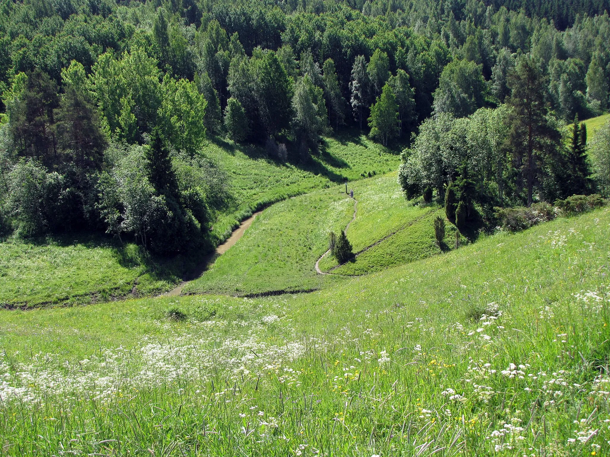 Photo showing: Hantala ravine in Somero, South-Western Finland. Rekijoki River can be seen at the bottom of the ravine.