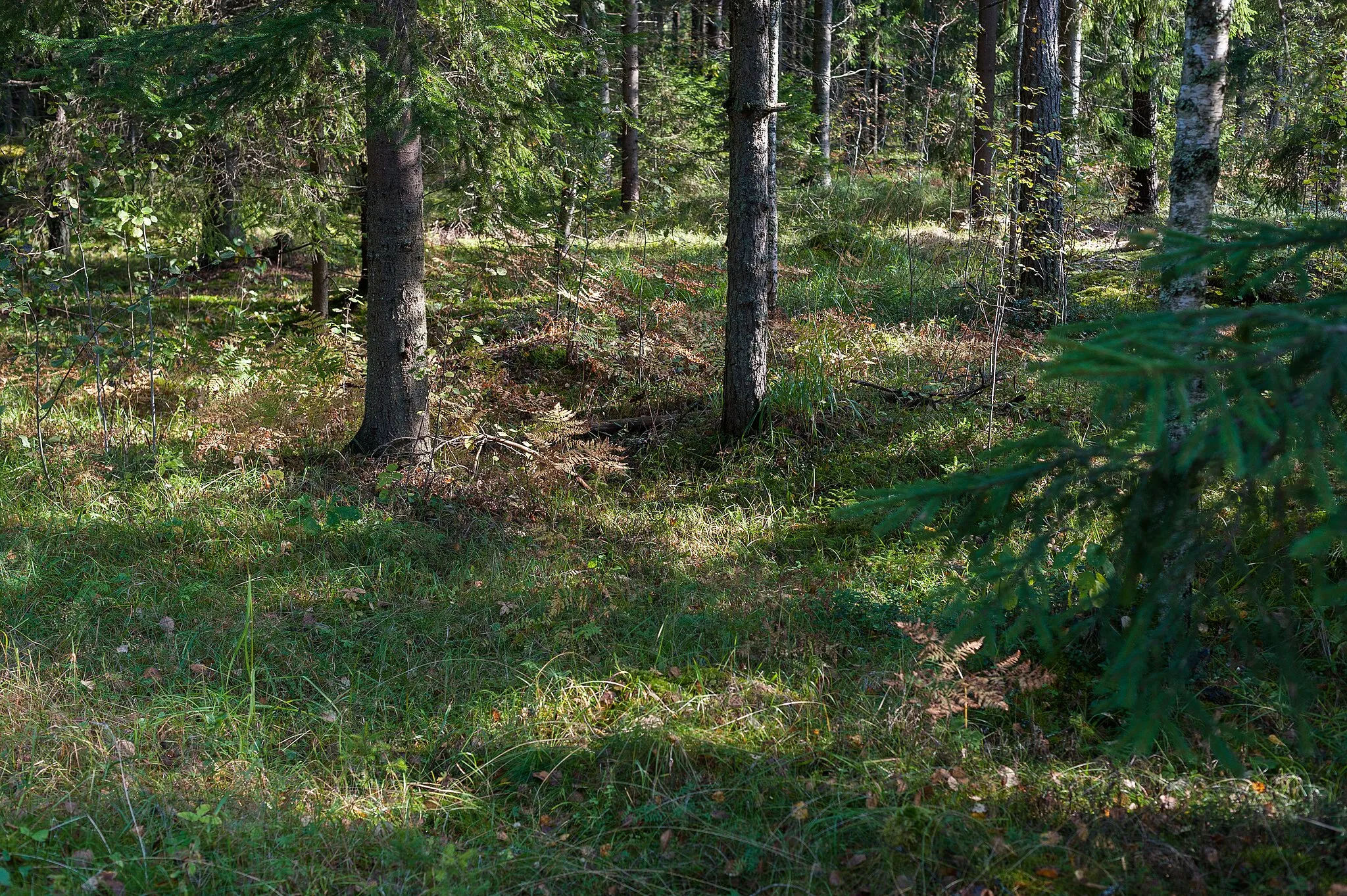 Photo showing: This is a photo of a monument in Finland identified by the ID 'Kauskilan Kappelinmäki' (Q31029407)