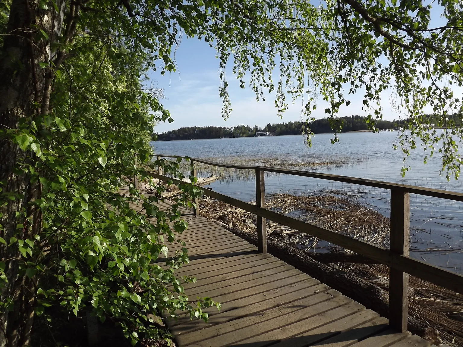 Photo showing: The promenade around the Katariinanlaakso nature reserve in Turku, Finland, in the spring of 2019. Bordwalk along the Pitkäsalmi shore.