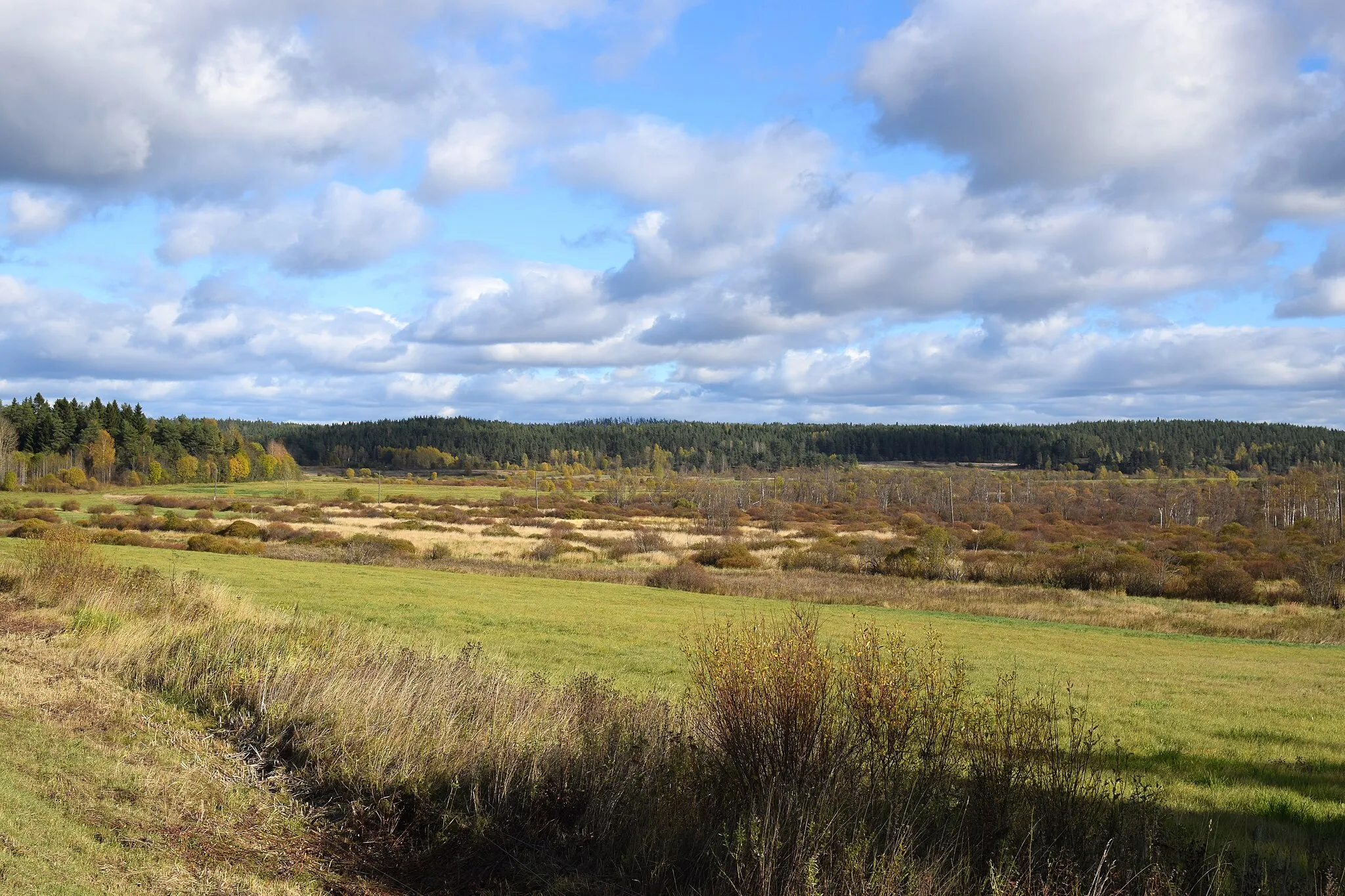 Photo showing: Karelian fields