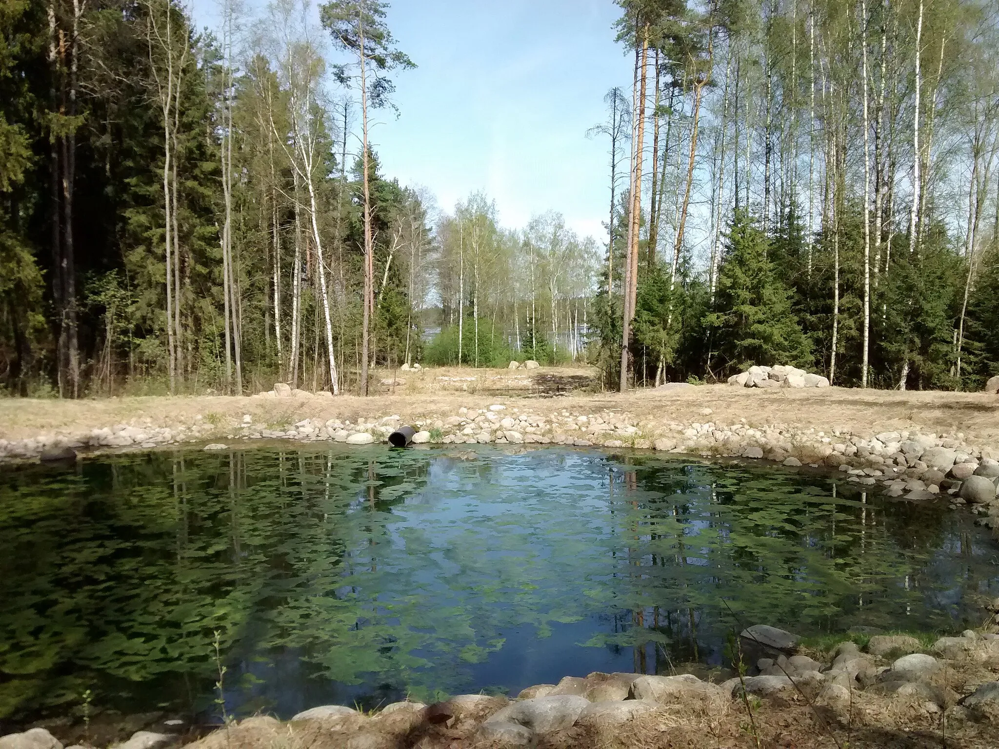 Photo showing: A part of Sammonlahden hulevesikosteikko, a constructed wetland. Sammonlahti, Lappeenranta.