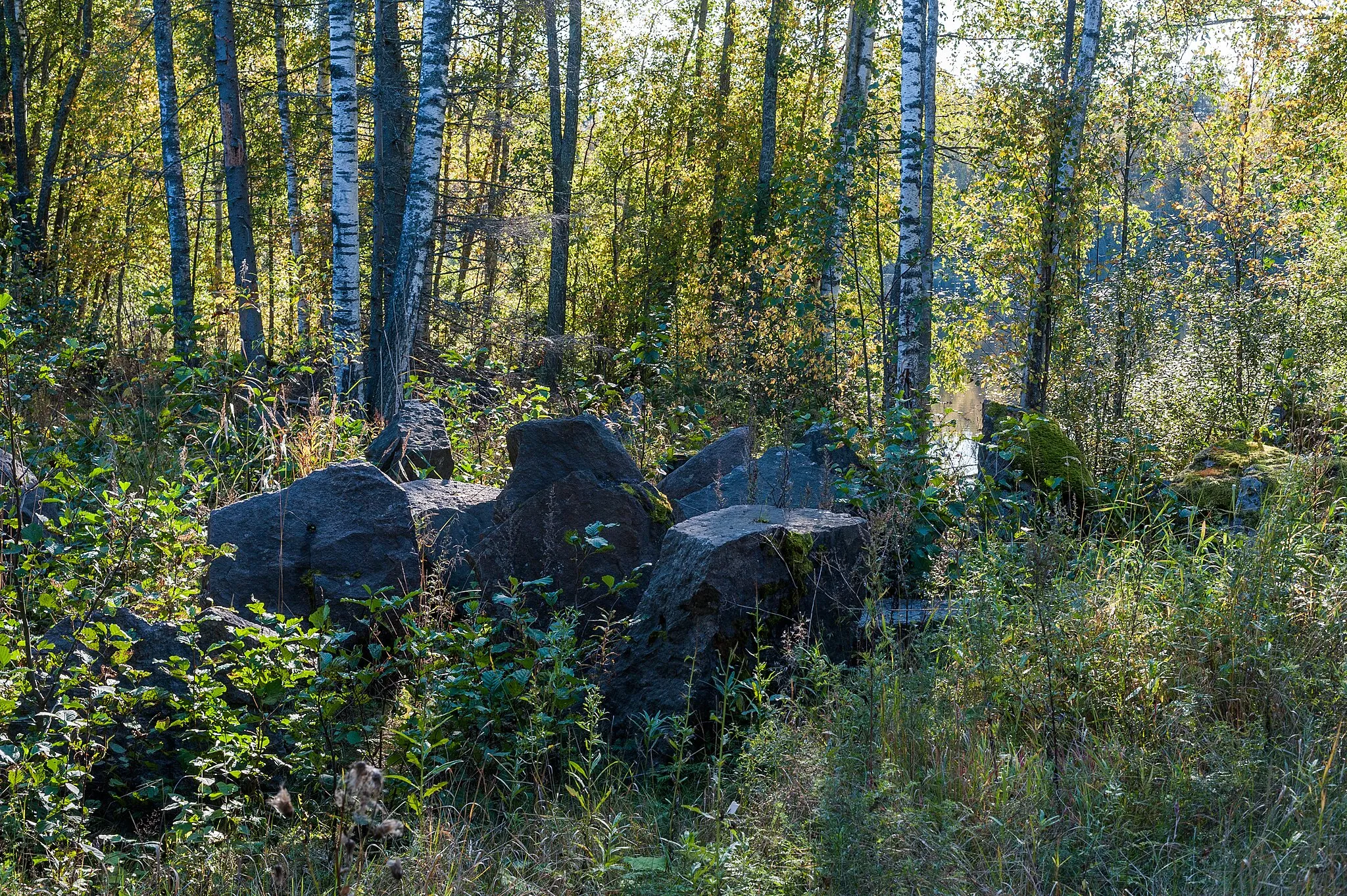 Photo showing: This is a photo of a monument in Finland identified by the ID 'Salpa Line' (Q164333) - RKY: 2021