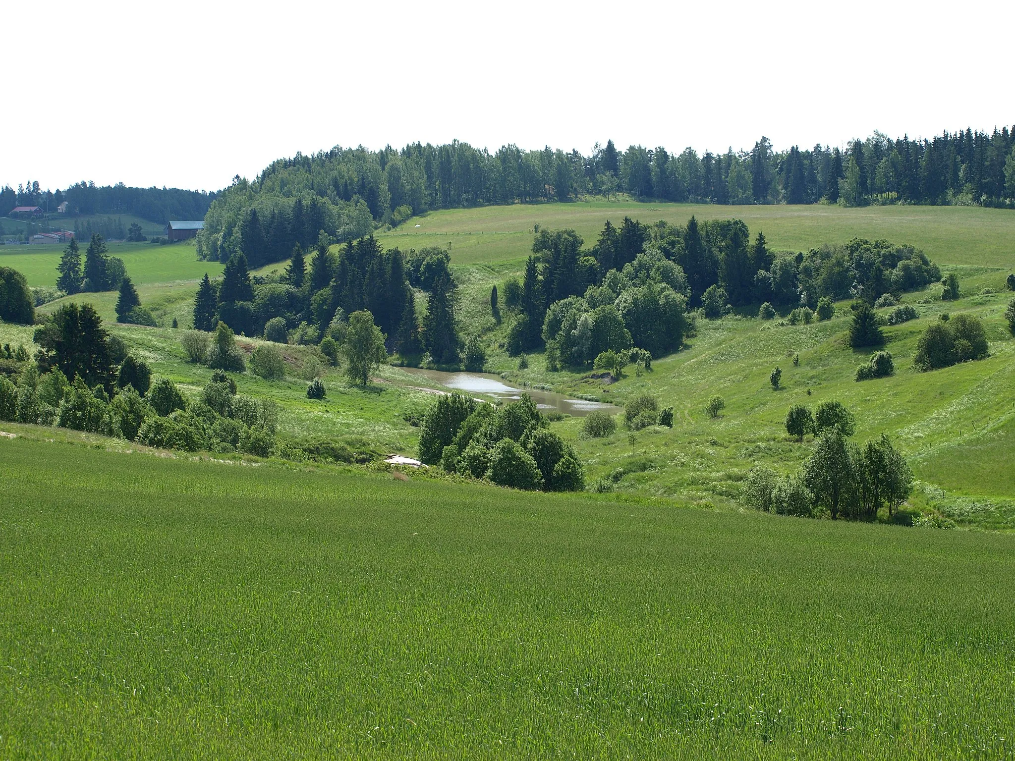 Photo showing: The River Valley of Halikonjoki River in Halikko, Finland