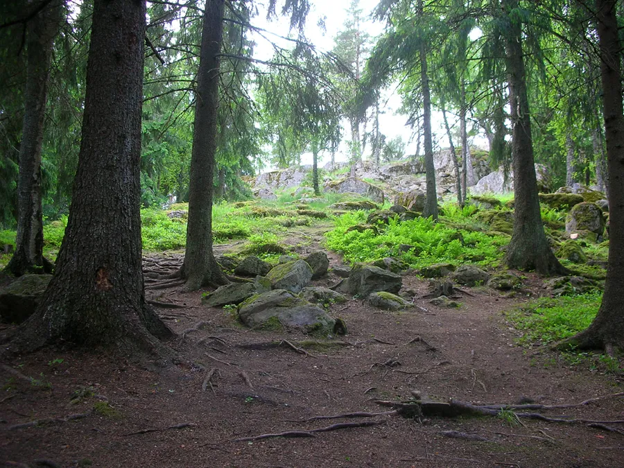 Photo showing: Path to Huttala hill fort in Piikkiö, Finland