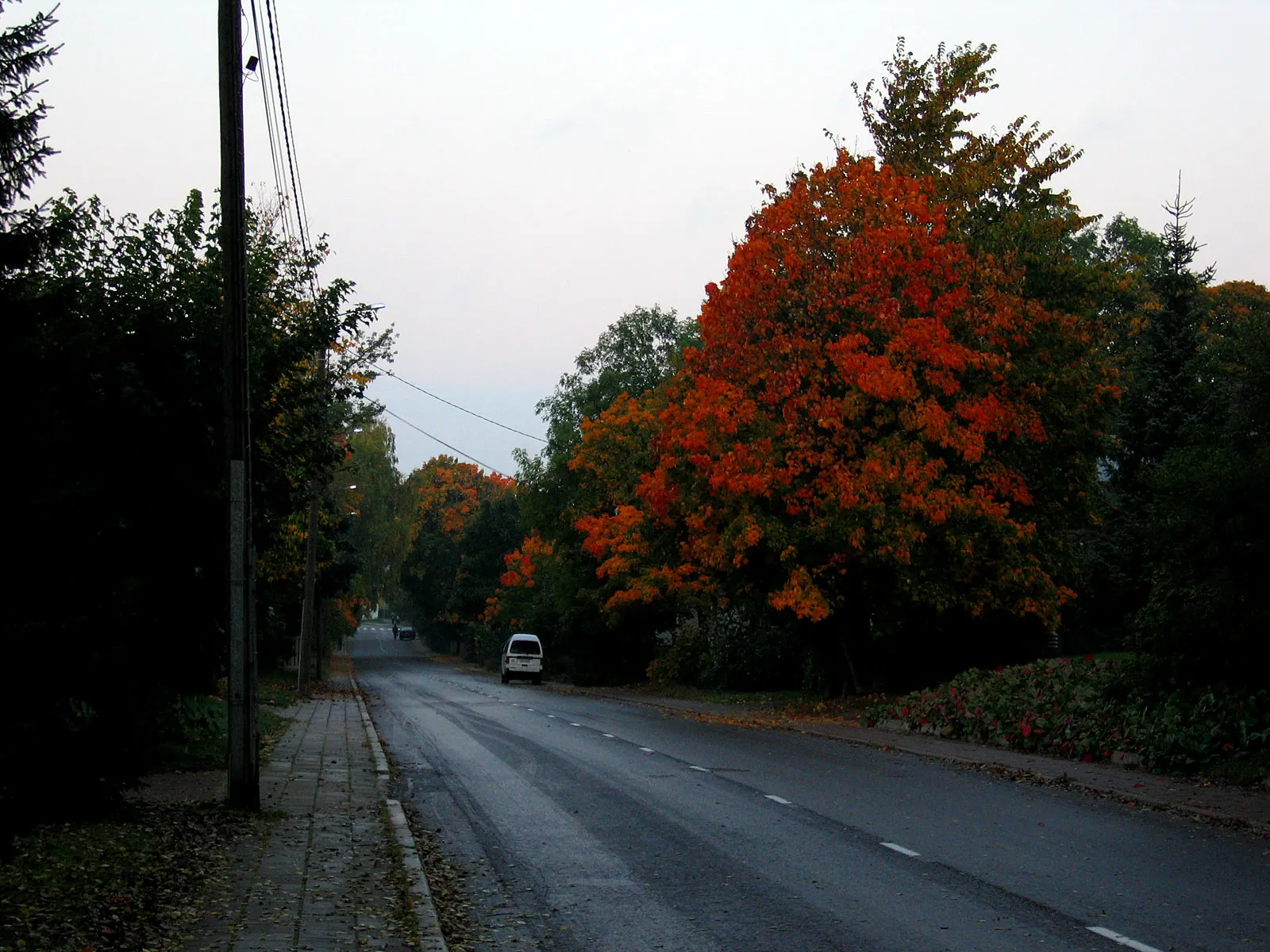 Photo showing: Karjakuja, Nummi, Turku