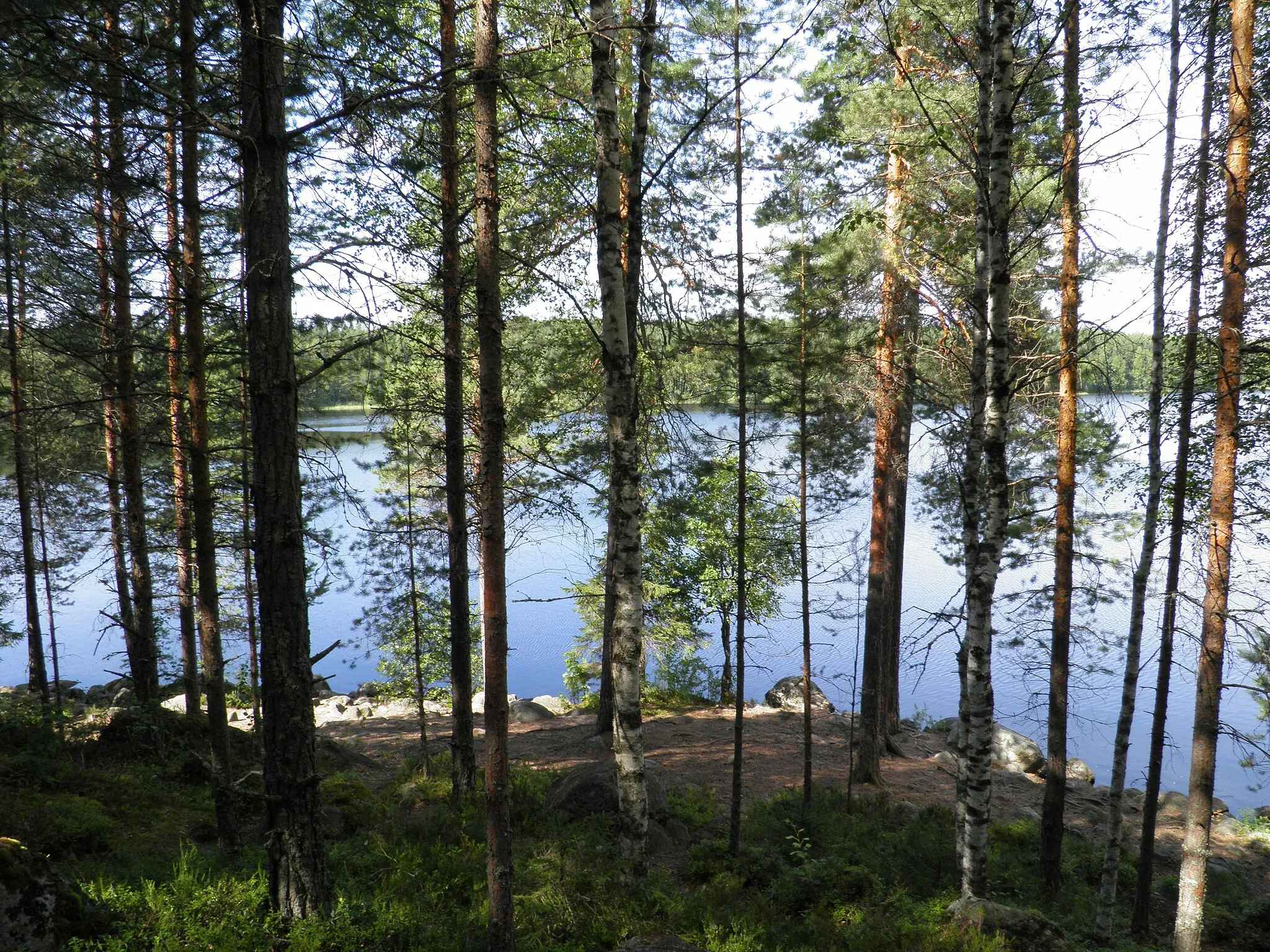 Photo showing: Ylinen Niemisjärvi ja metsää Evolla Hämeenlinnassa.