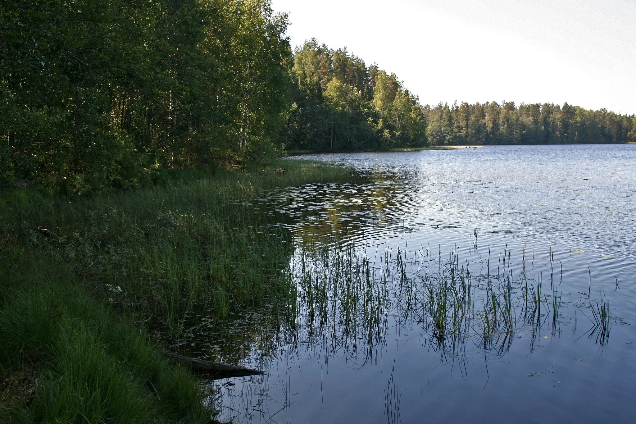 Photo showing: Lake Pääjärvi, resting place of treking route, view over lake to Kynnysniemi penisula