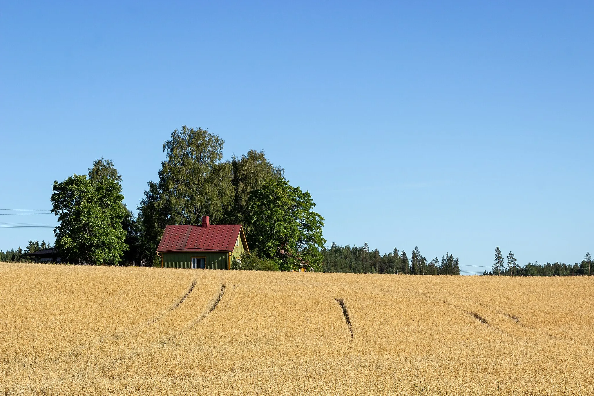 Photo showing: A green house sits behind a golden grainfield in Henna, Orimattila.