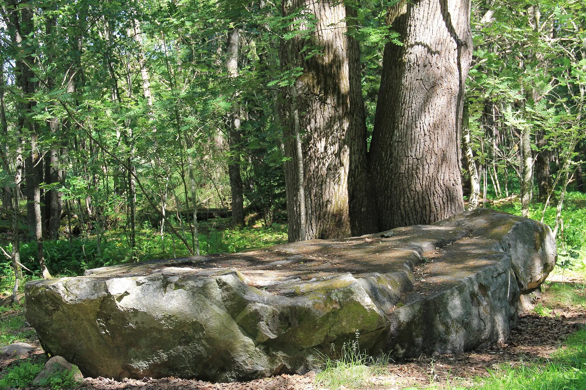 Photo showing: Catherines stone, a glacial erratic in Turku, Finland, named after Catherine Jagiellon.