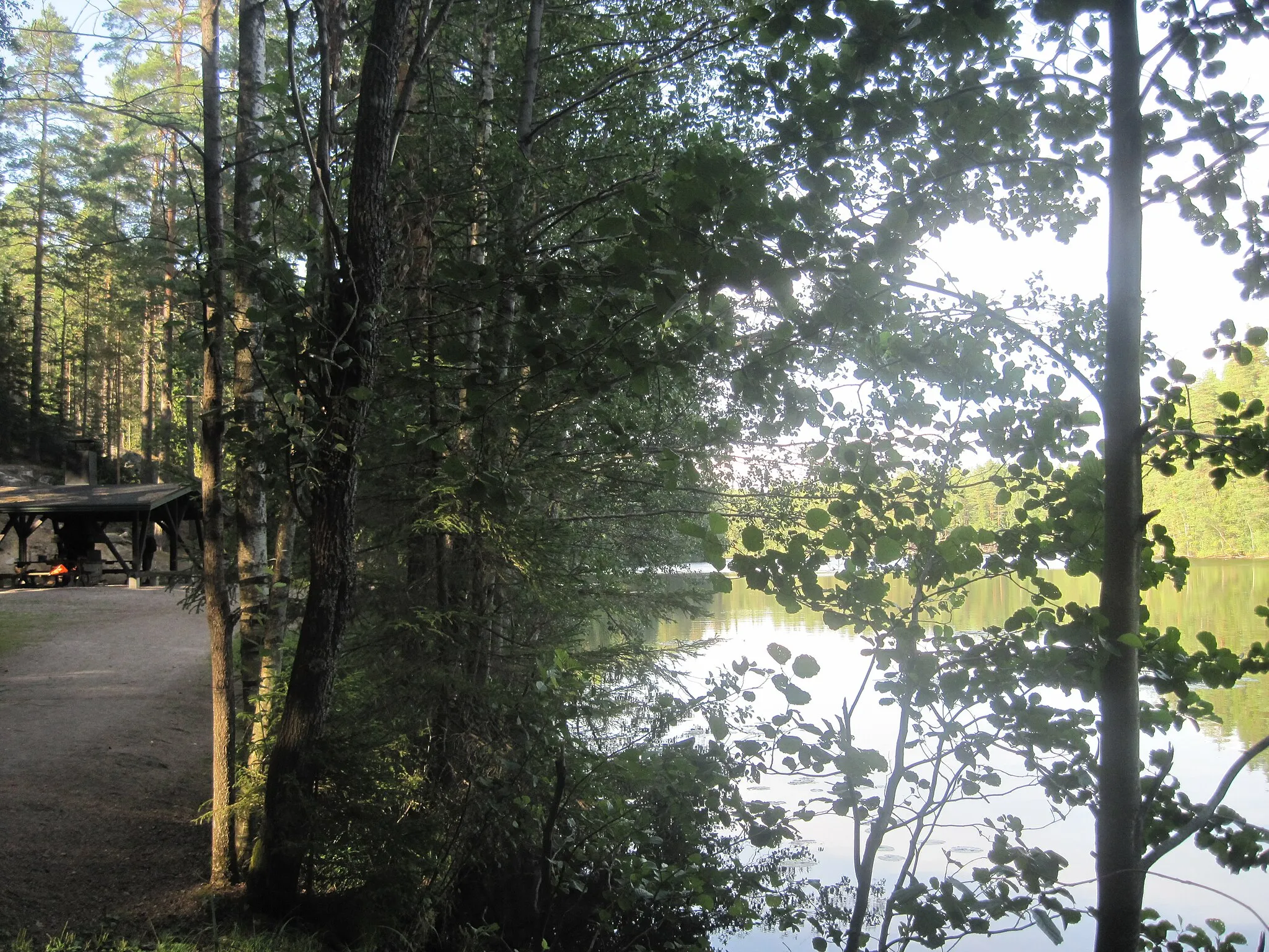 Photo showing: Halkolampi, a small lake in Luukki area, Espoo, Finland
