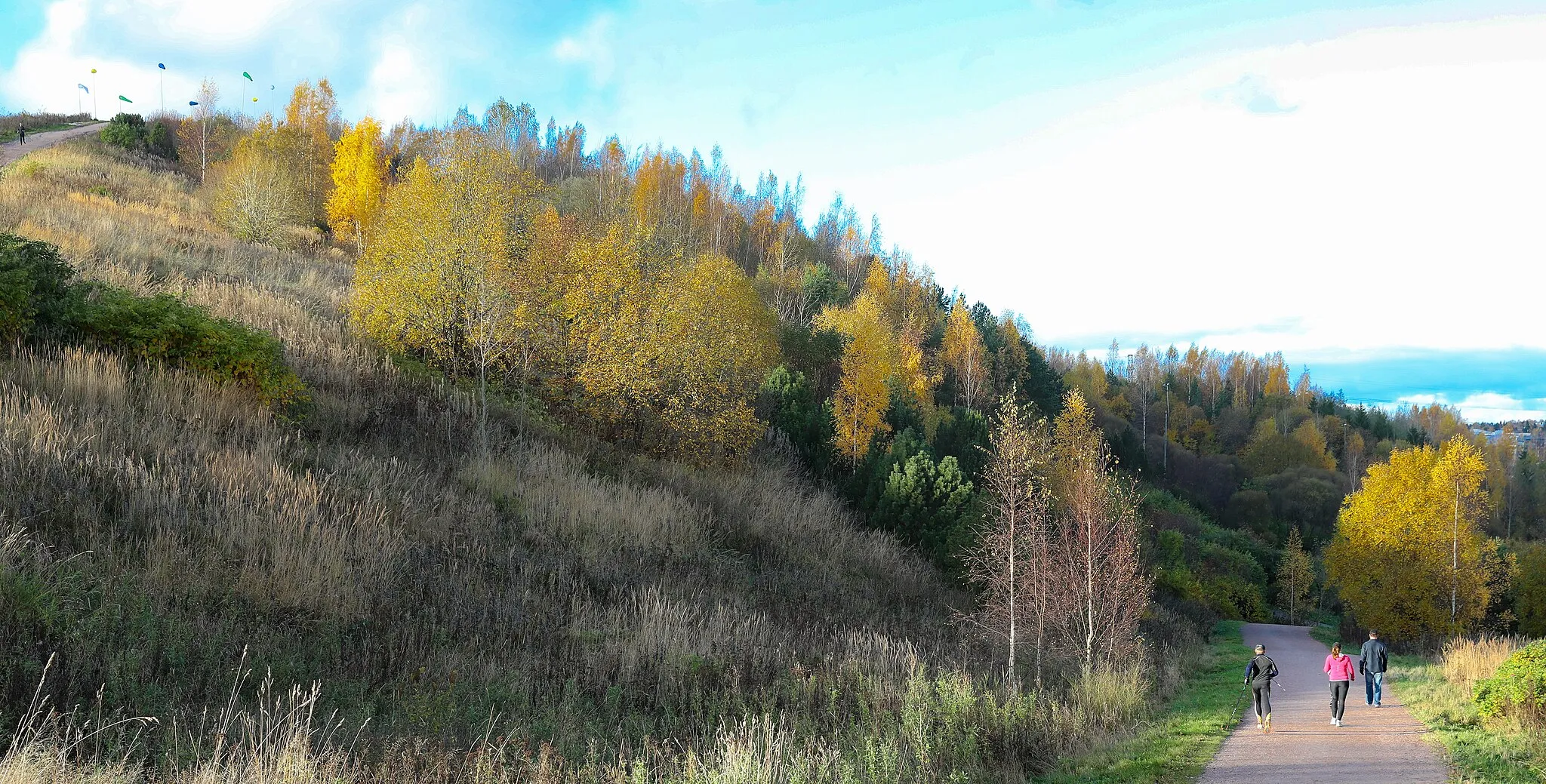 Photo showing: Road to Malminkartanonhuippu, the highest hill in Helsinki, Finland