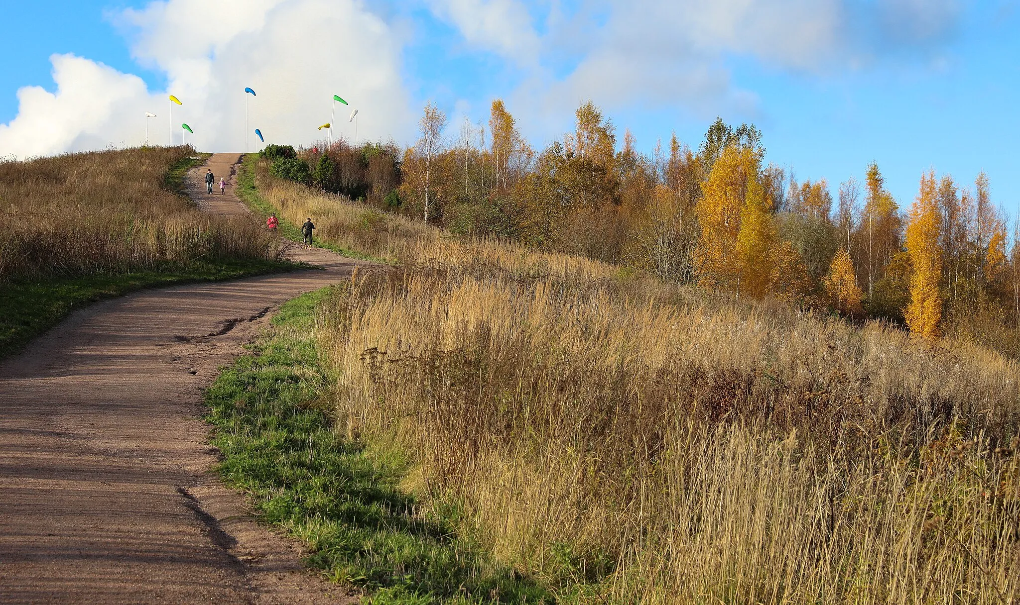 Photo showing: Road to Malminkartanonhuippu, the highest hill Helsinki, Finland