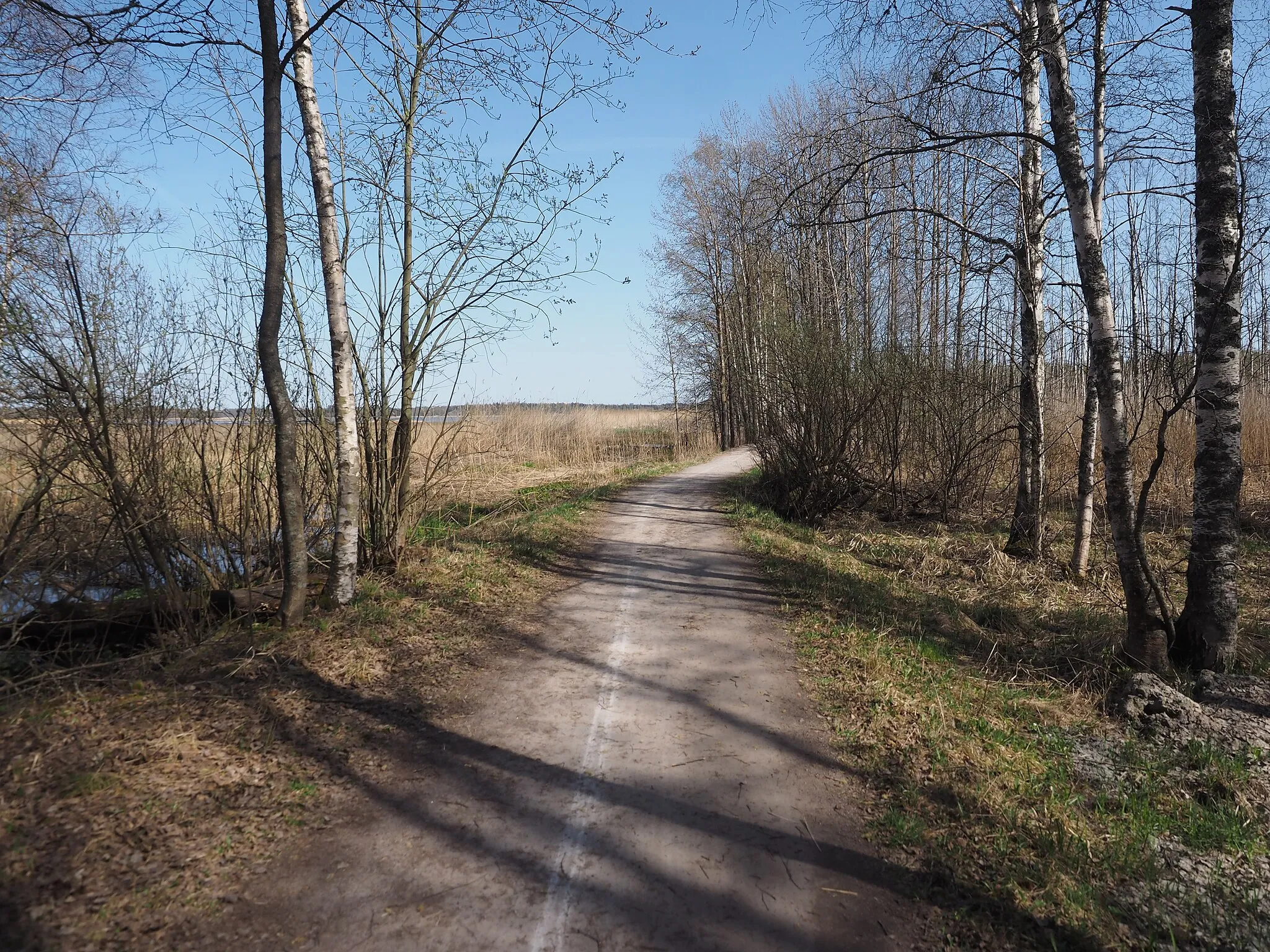 Photo showing: An unpaved pedestrian pathway through the seaside nature in Otaniemi, Espoo, Finland. The route of the annual Länsiväyläjuoksu running event runs along this path (hence the white marking in the middle of the path).