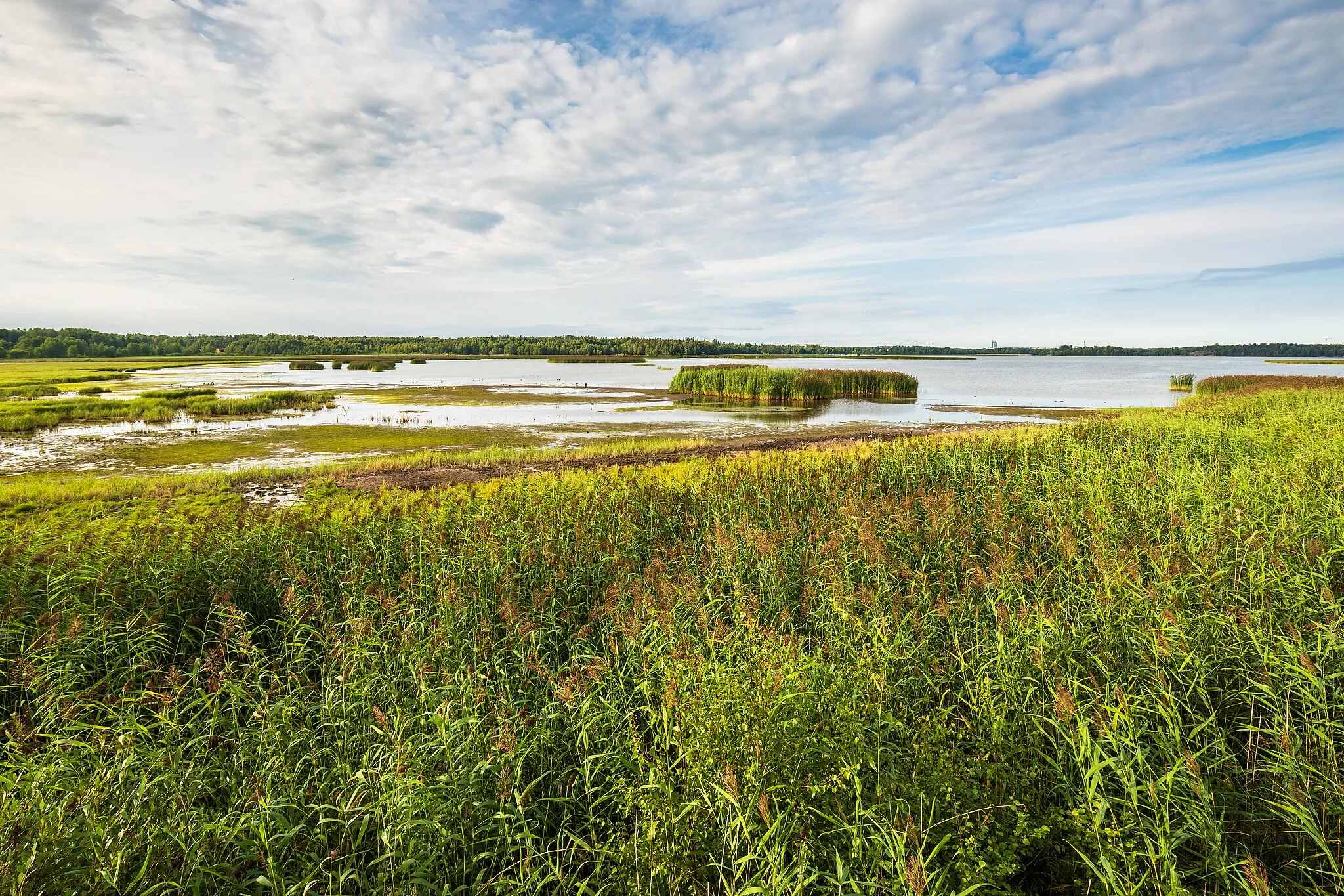 Photo showing: Laajalahti shore landscape from Maarin torni bird watching tower in Otaniemi, Espoo, Finland in 2022 July.