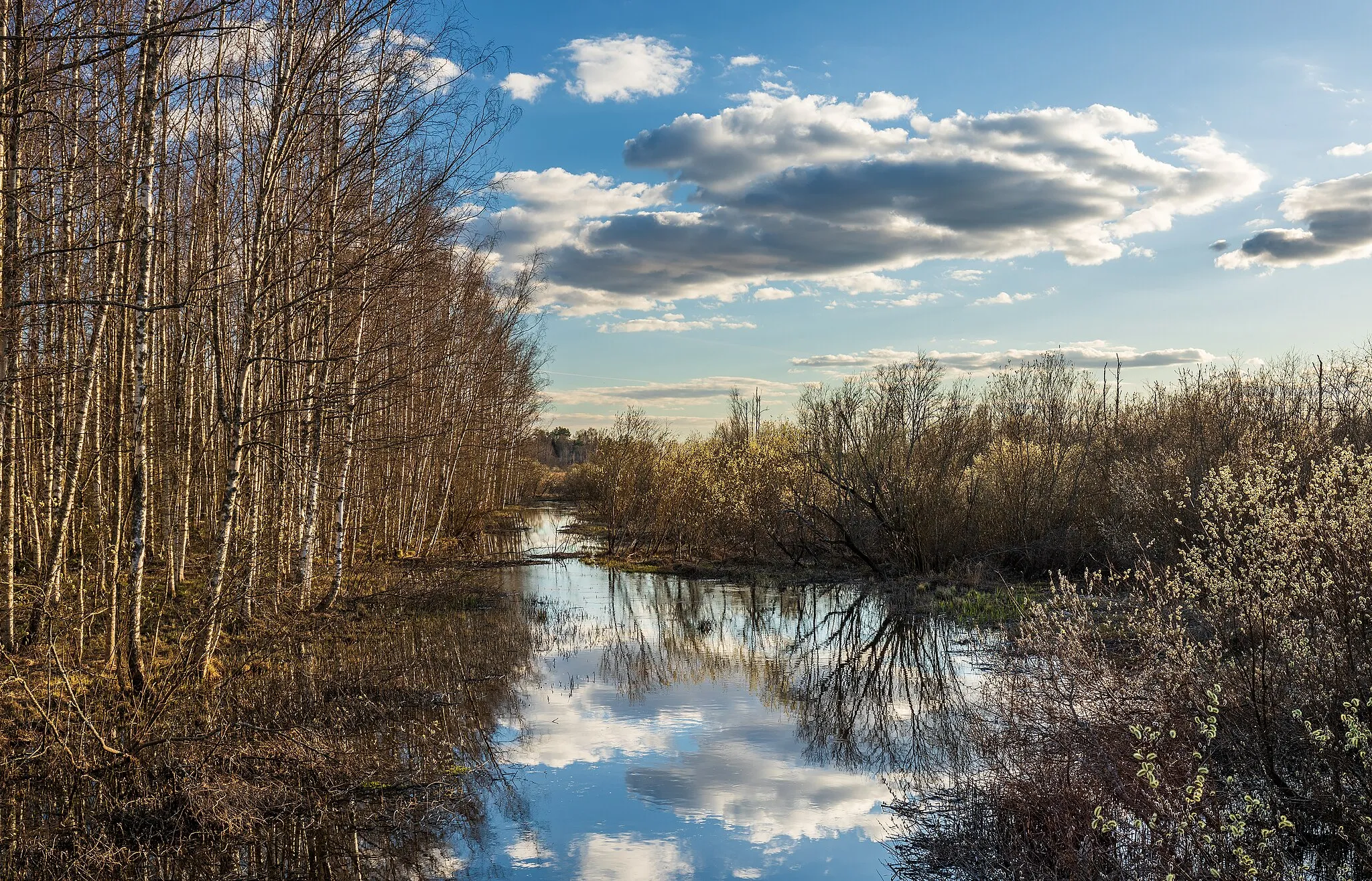 Photo showing: Kanaali brook near by Tukonkanaali and Hämeenkylä Manor towards lake Pitkäjärvi in Hämeenkylä, Vantaa, Finland in 2023 April. The nature around the brook is under conservation as natural habitat for the endangered Hylochares cruentatus beetle and the moor frog (Rana arvalis).