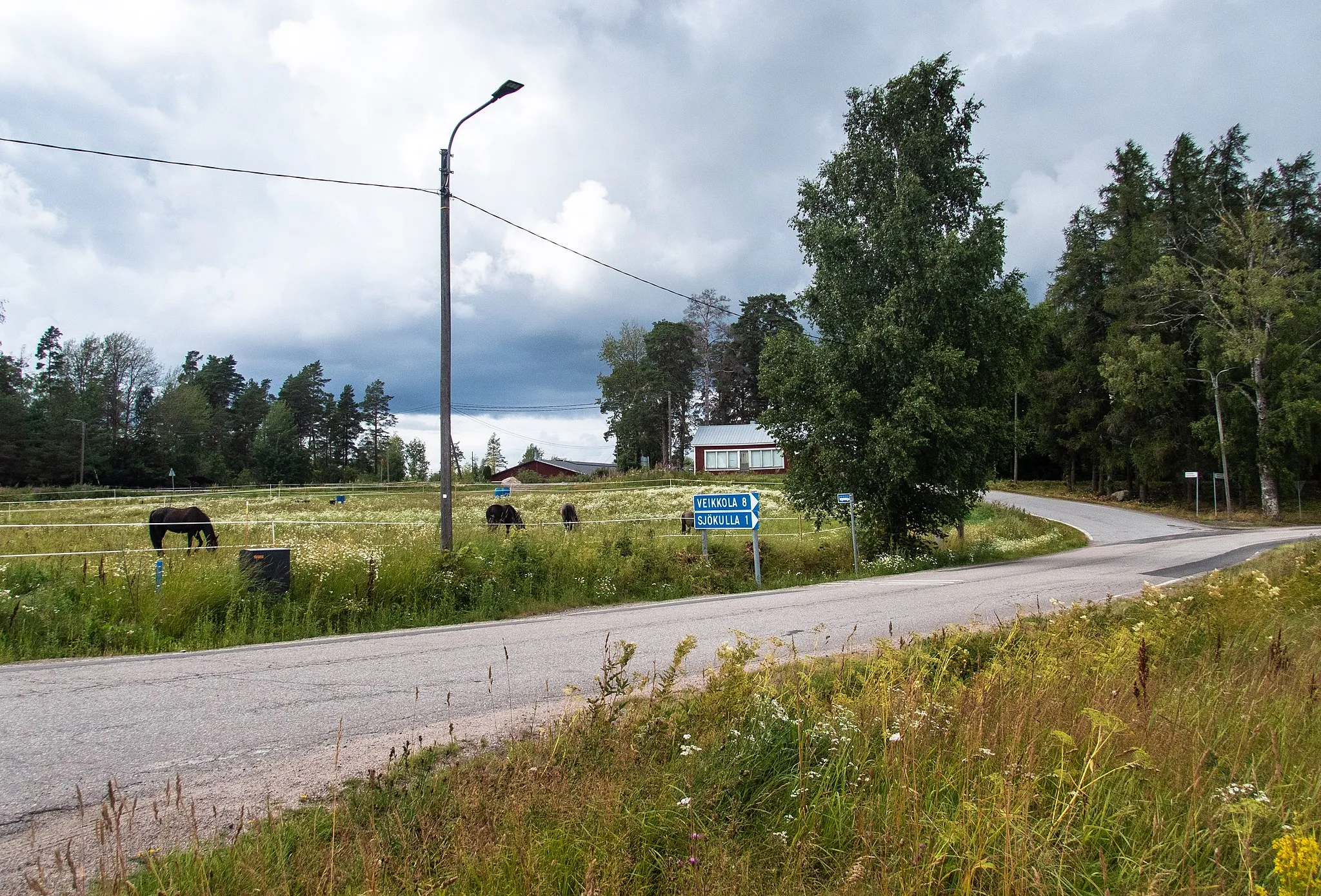Photo showing: Horses near Sjökulla school in Kylmälä village, Kirkkonummi.