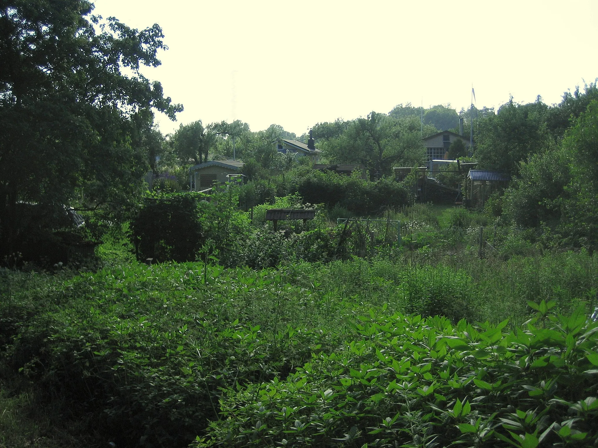 Photo showing: An allotment garden of nearly 200 cottages in Herttoniemi, Helsinki, Finland.