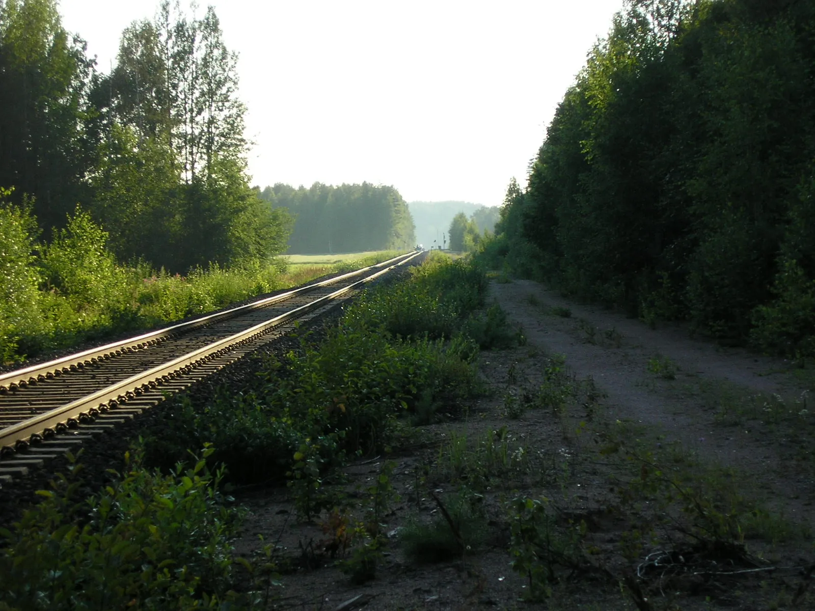 Photo showing: Rail tracks in Röykkä, Nurmijärvi, Finland.