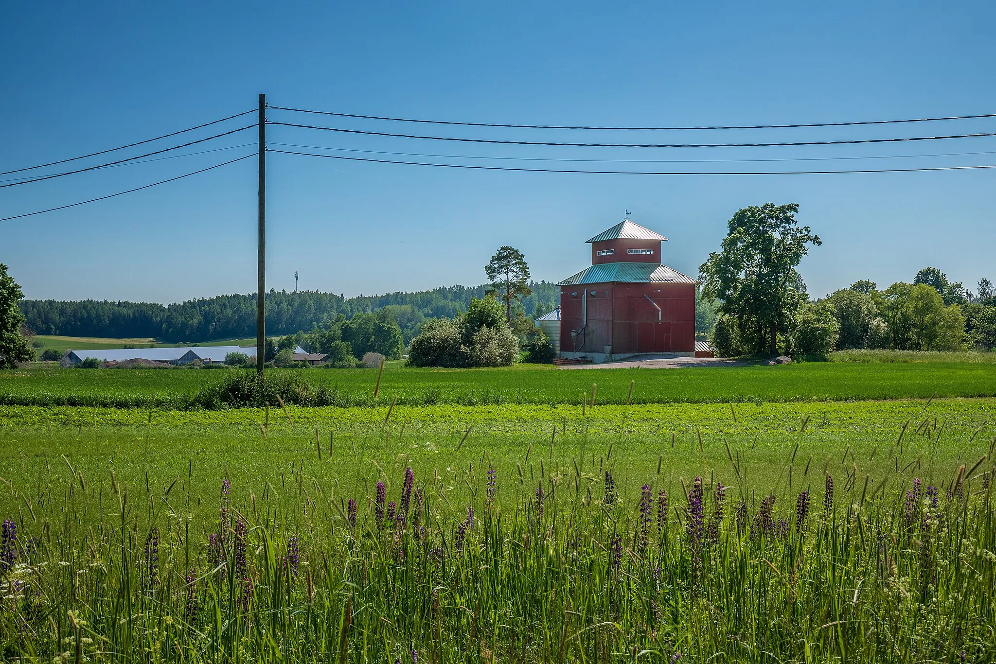 Photo showing: Countryside landscape in Seutula, Vantaa, Finland in 2022 June.