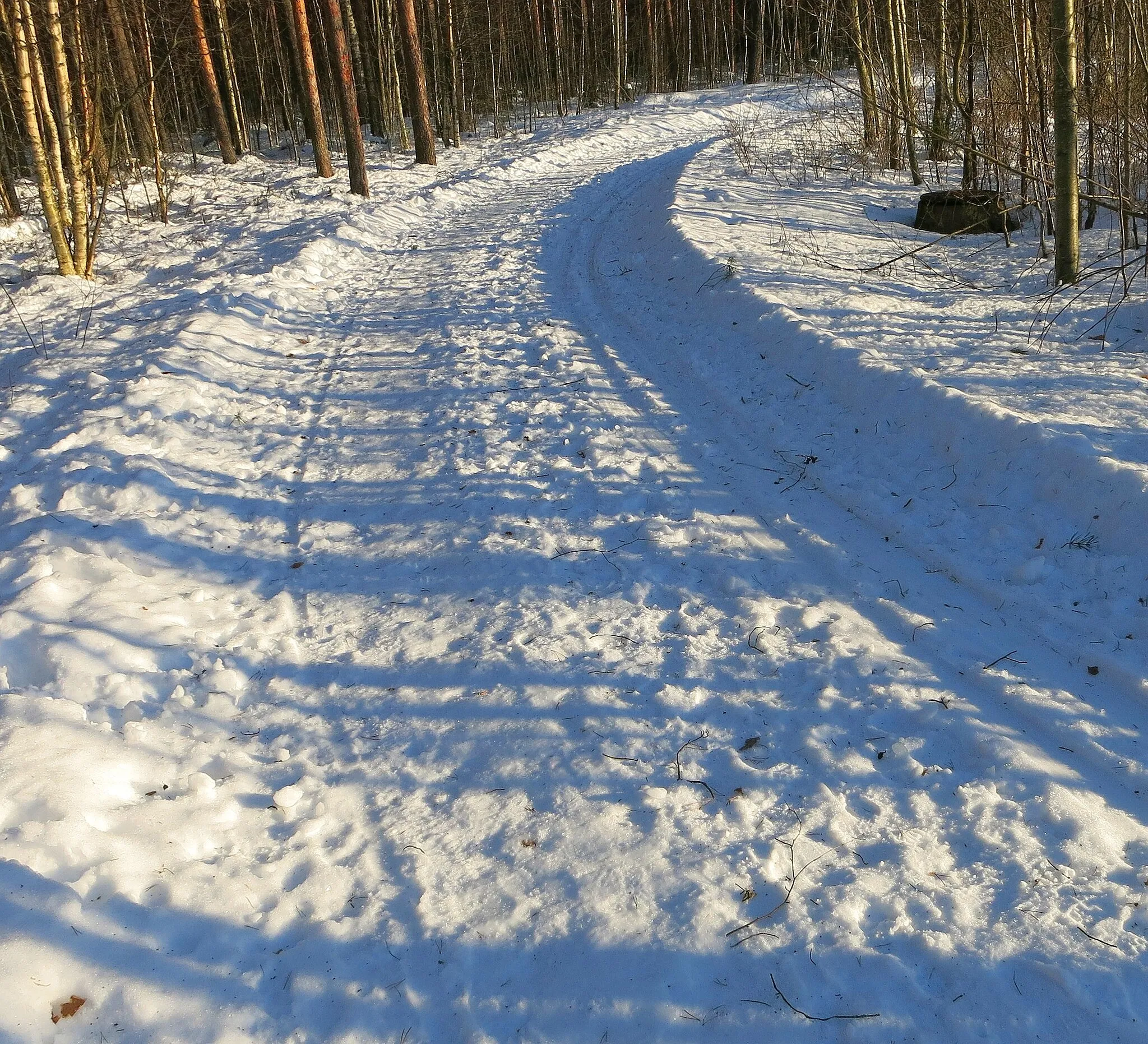 Photo showing: In wintertime, ski tracks appear everywhere in Finland.