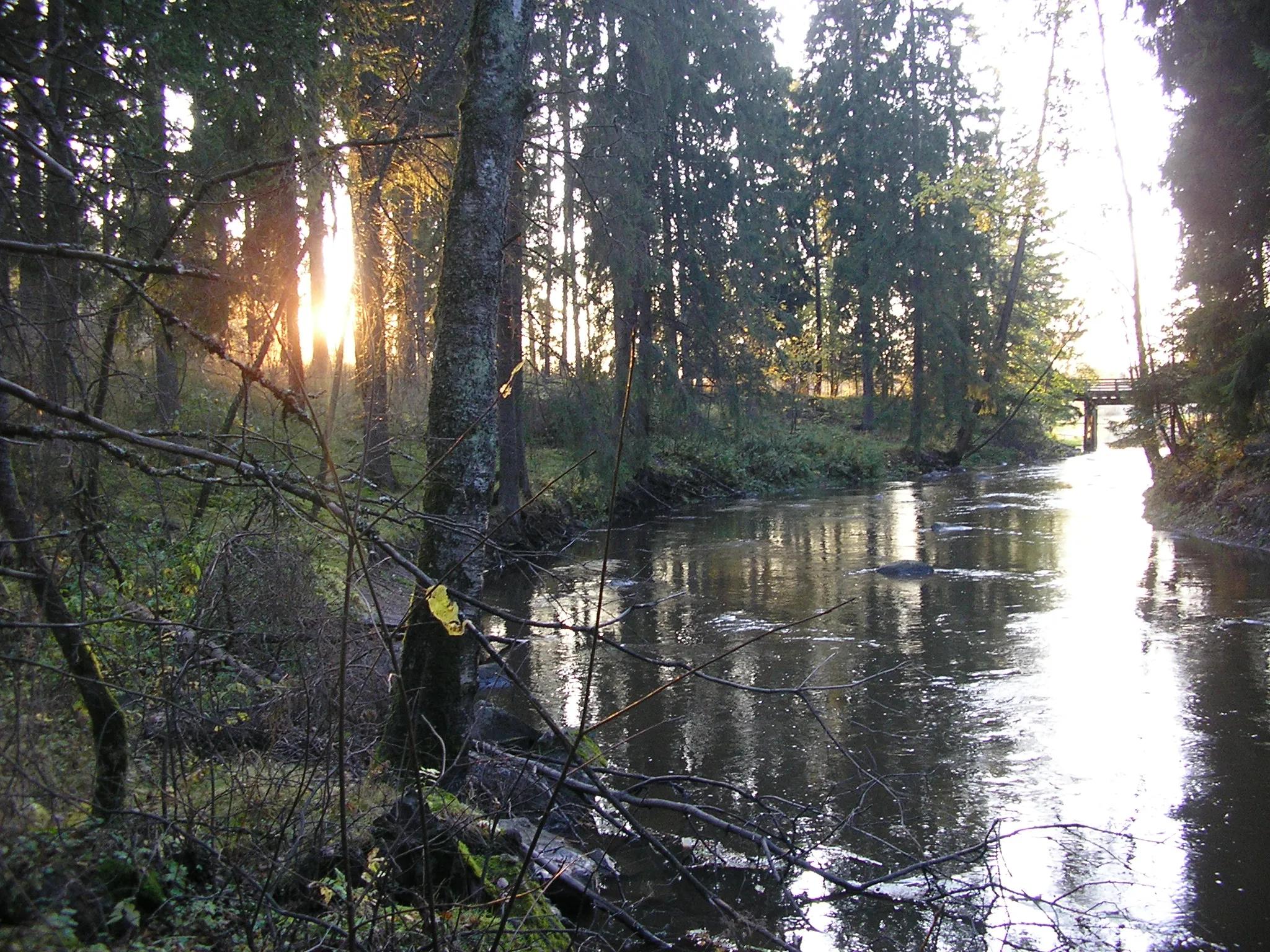 Photo showing: Vantaa river [10-2008]