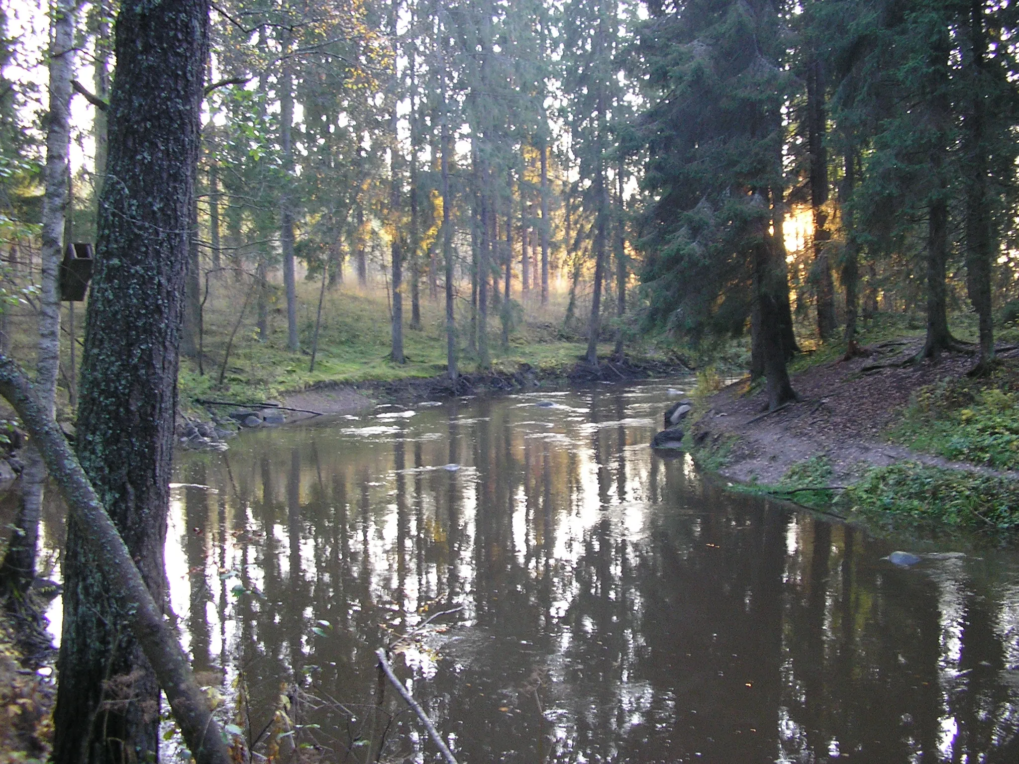 Photo showing: Vantaa river [10-2008]