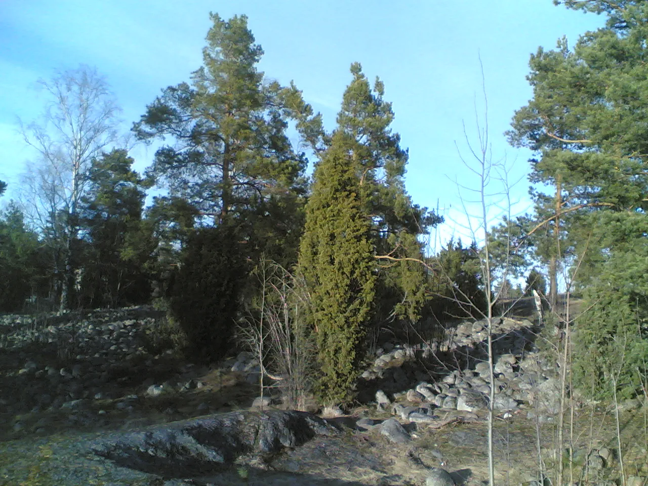 Photo showing: Jakomäki pirunpelto