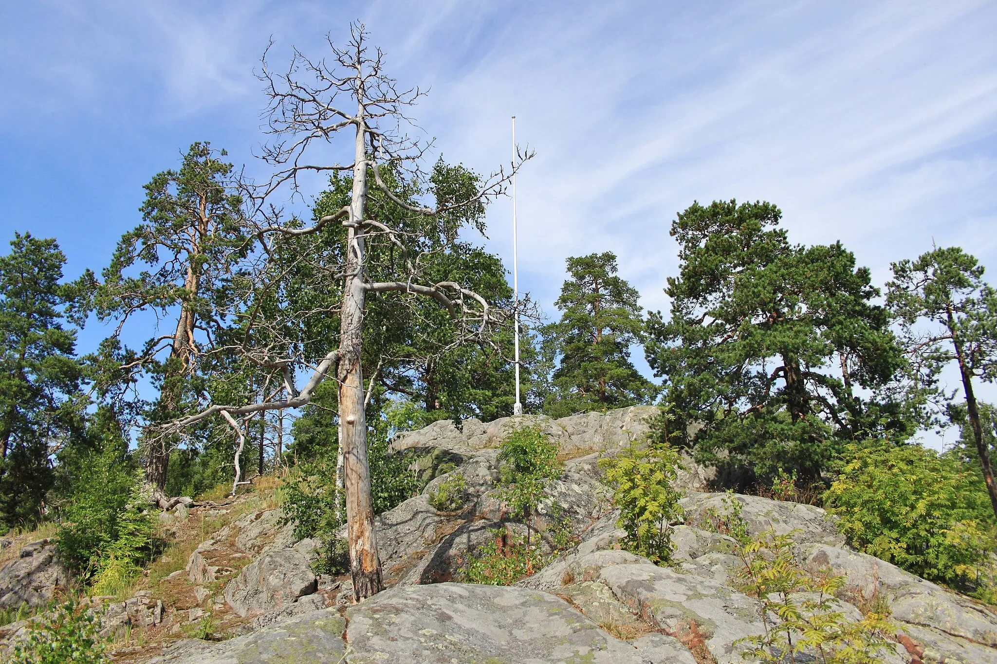 Photo showing: The peak of Vartiokylä fort hill, Helsinki.