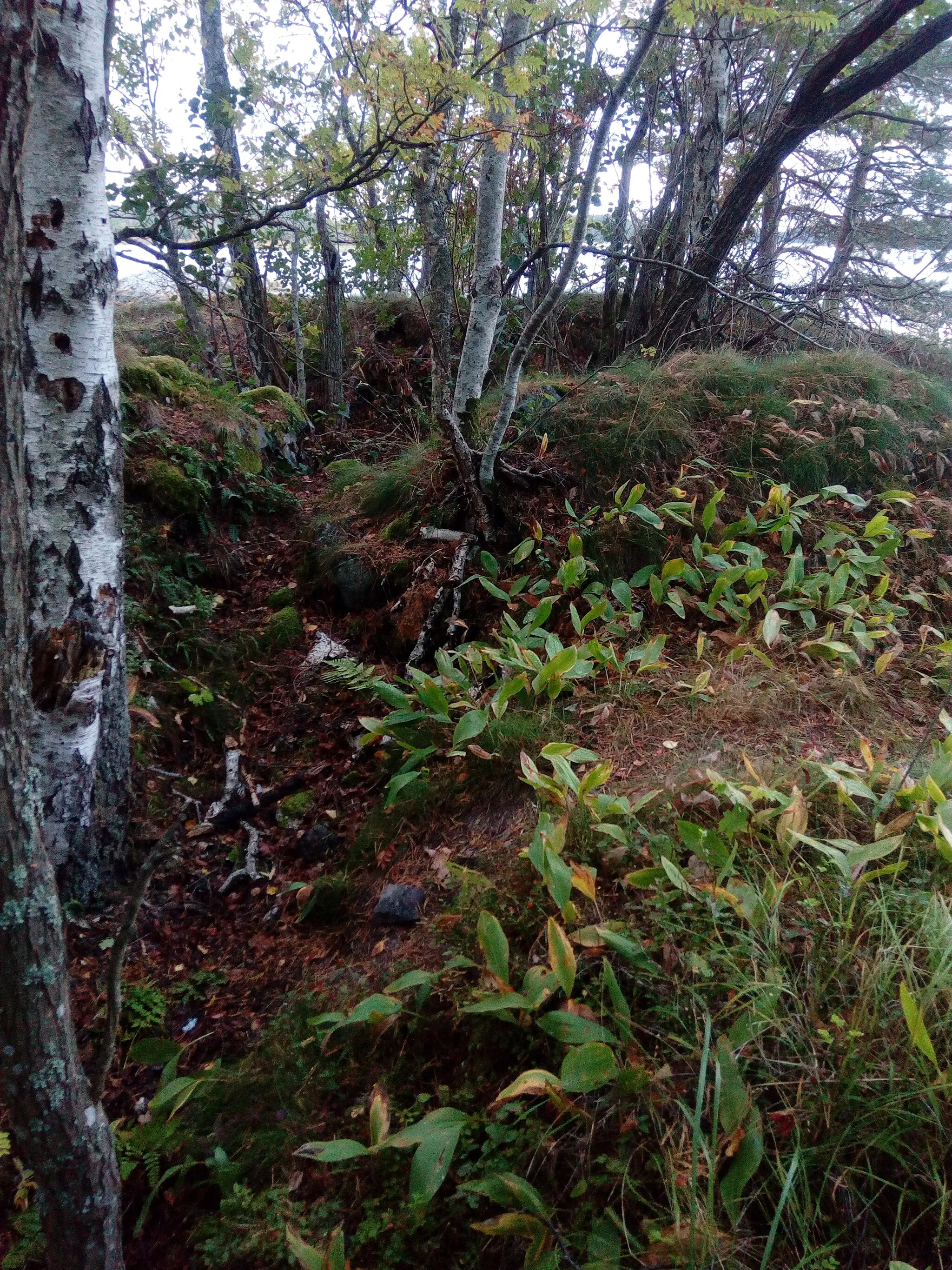 Photo showing: Konekivääriaseman jäännökset Hangossa, Santalan kartanosta noin 600m pohjoiseen