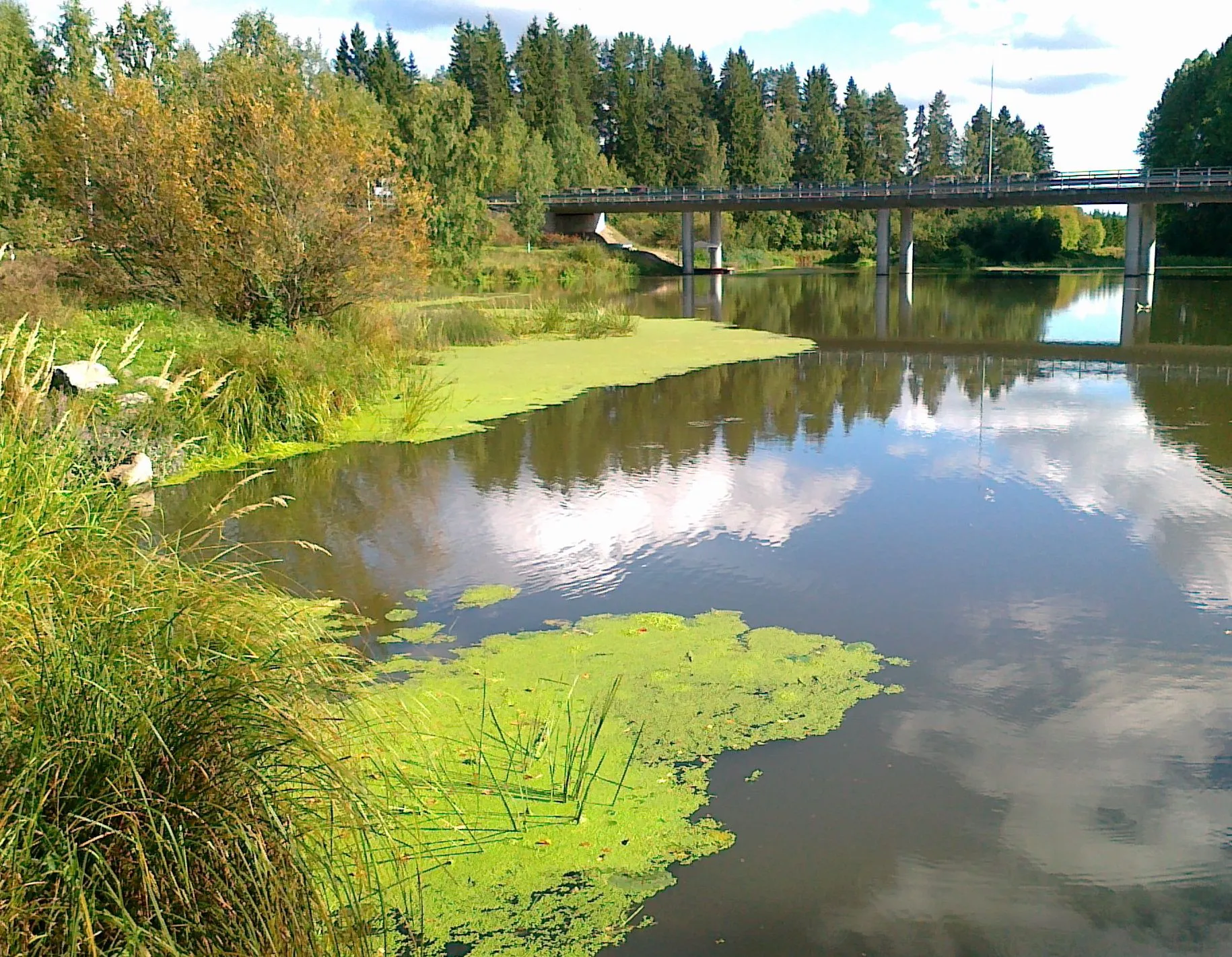 Photo showing: River Porvoonjoki in Pukkila, Finland, south of Naarkoski power plant