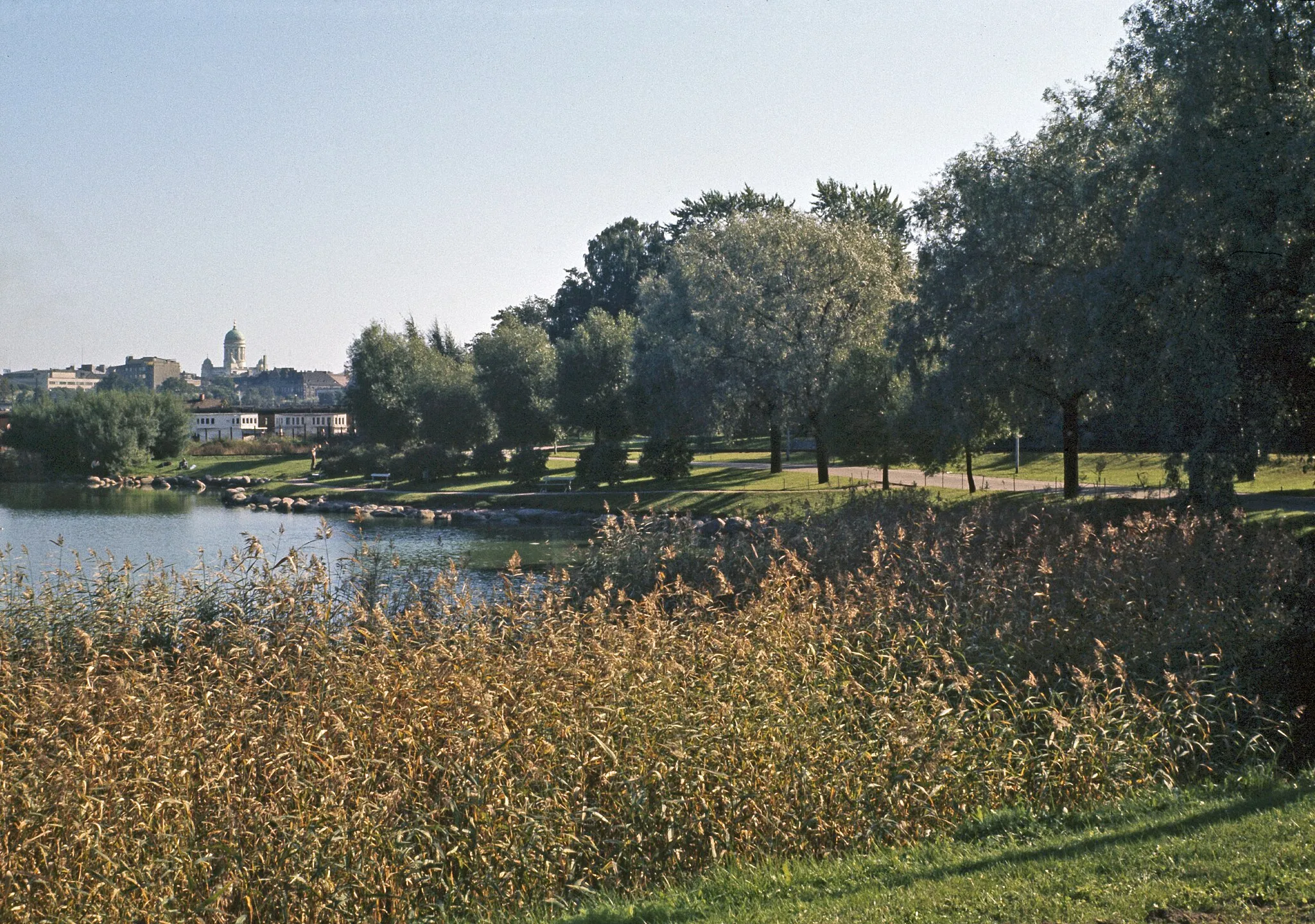 Photo showing: Hesperian puisto, Töölönlahden rantaa. Horisontissa vasemmalla Tuomiokirkon torni sekä Töölön ratapihaa. -- dia, filmi, väri