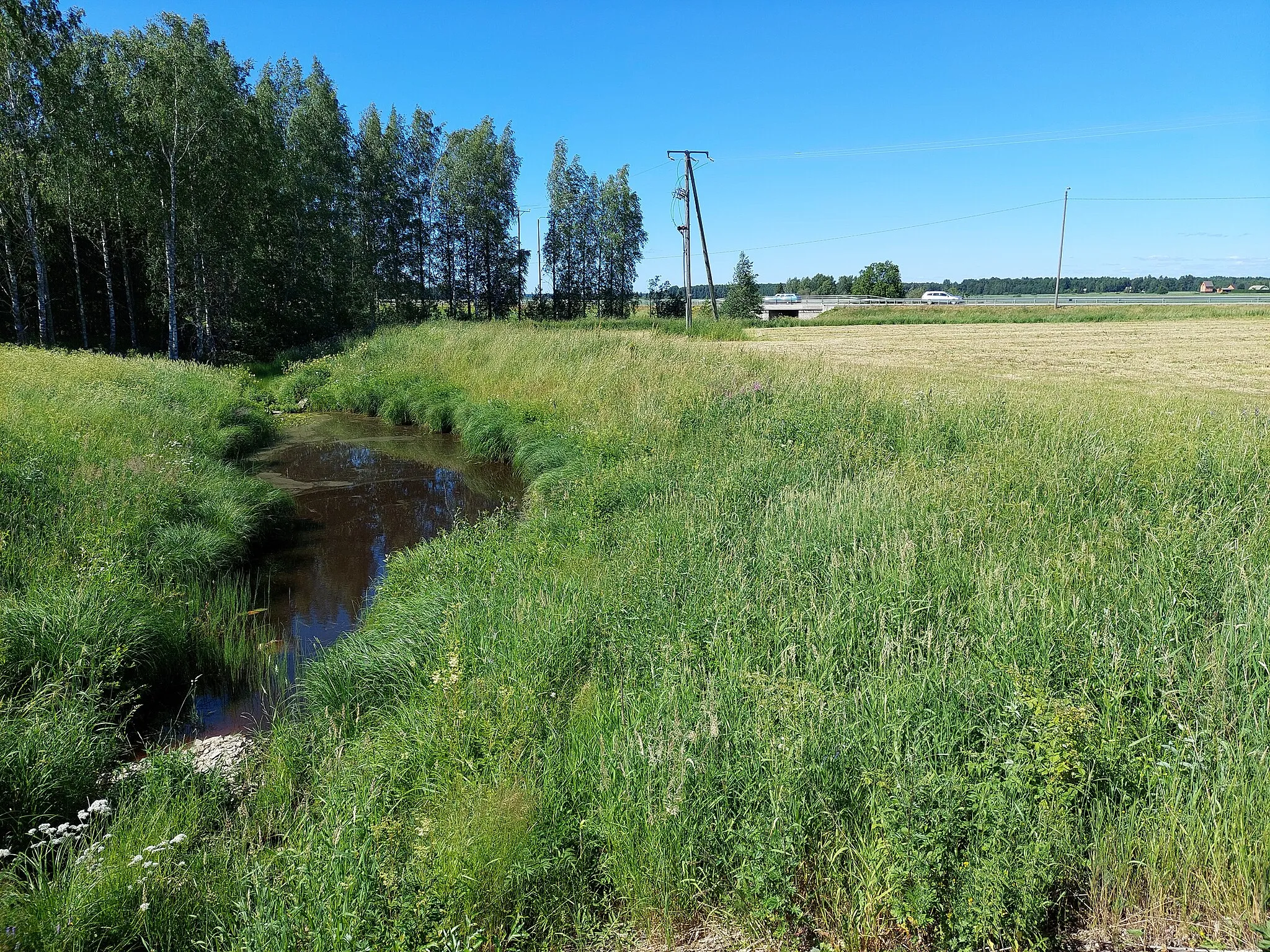 Photo showing: Raijalanjoki/Raijalanoja on Kokemäenjoen sivujoki Huittisissa