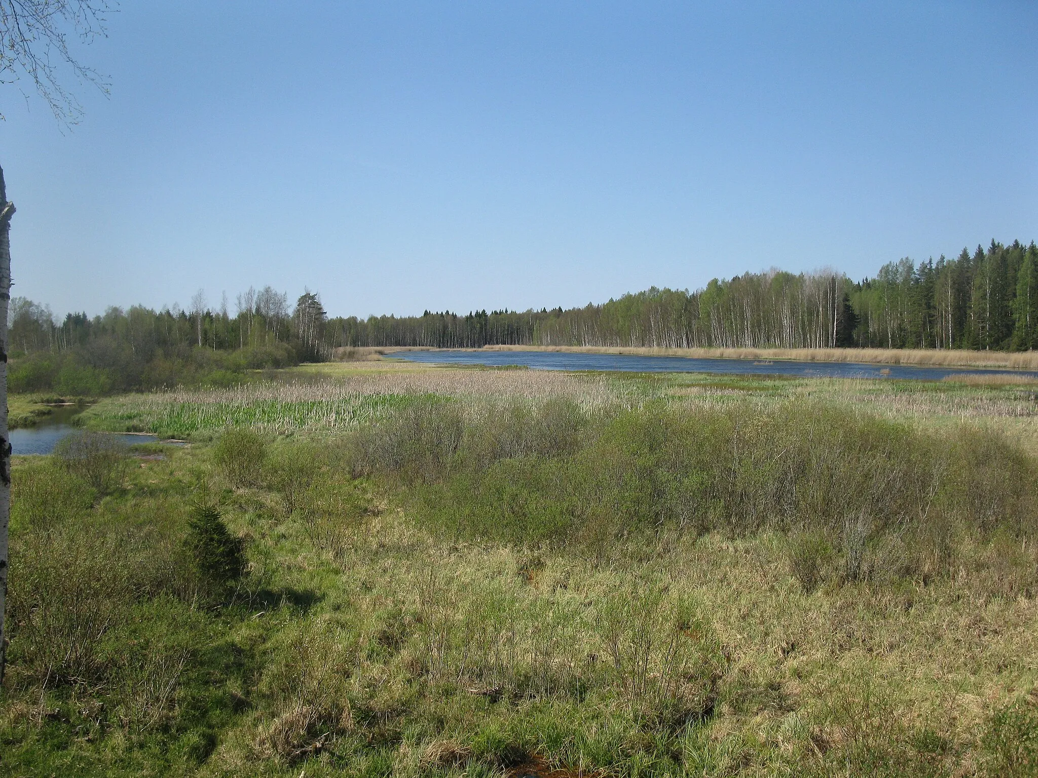 Photo showing: Levajärven eteläisempää allasta lintutornista etelään.