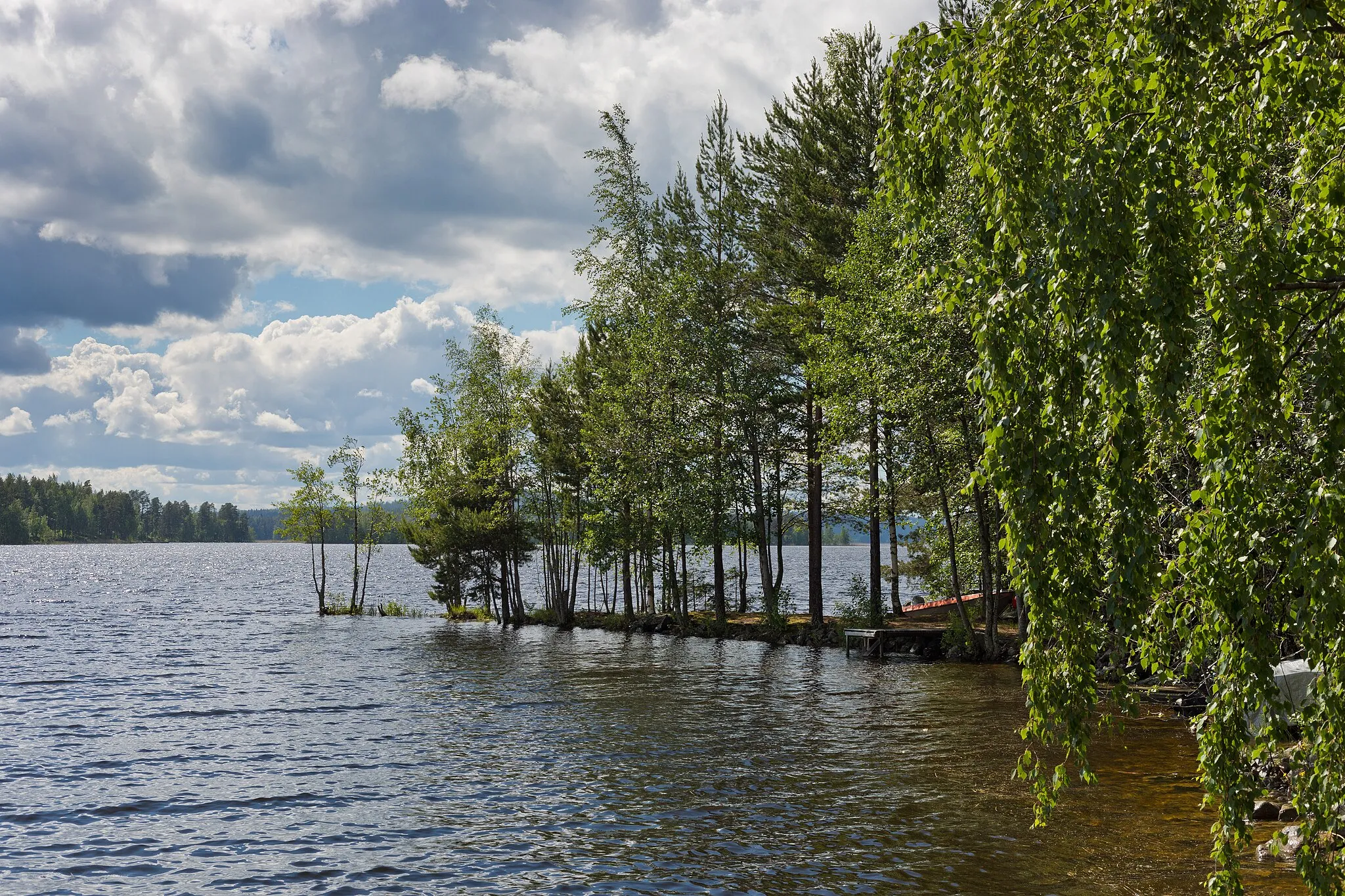 Photo showing: Lakefront of Tahkosaari at Kärkistensalmi (part of lake Päijänne), Jyväskylä, Central Finland, Finland in 2021 June.