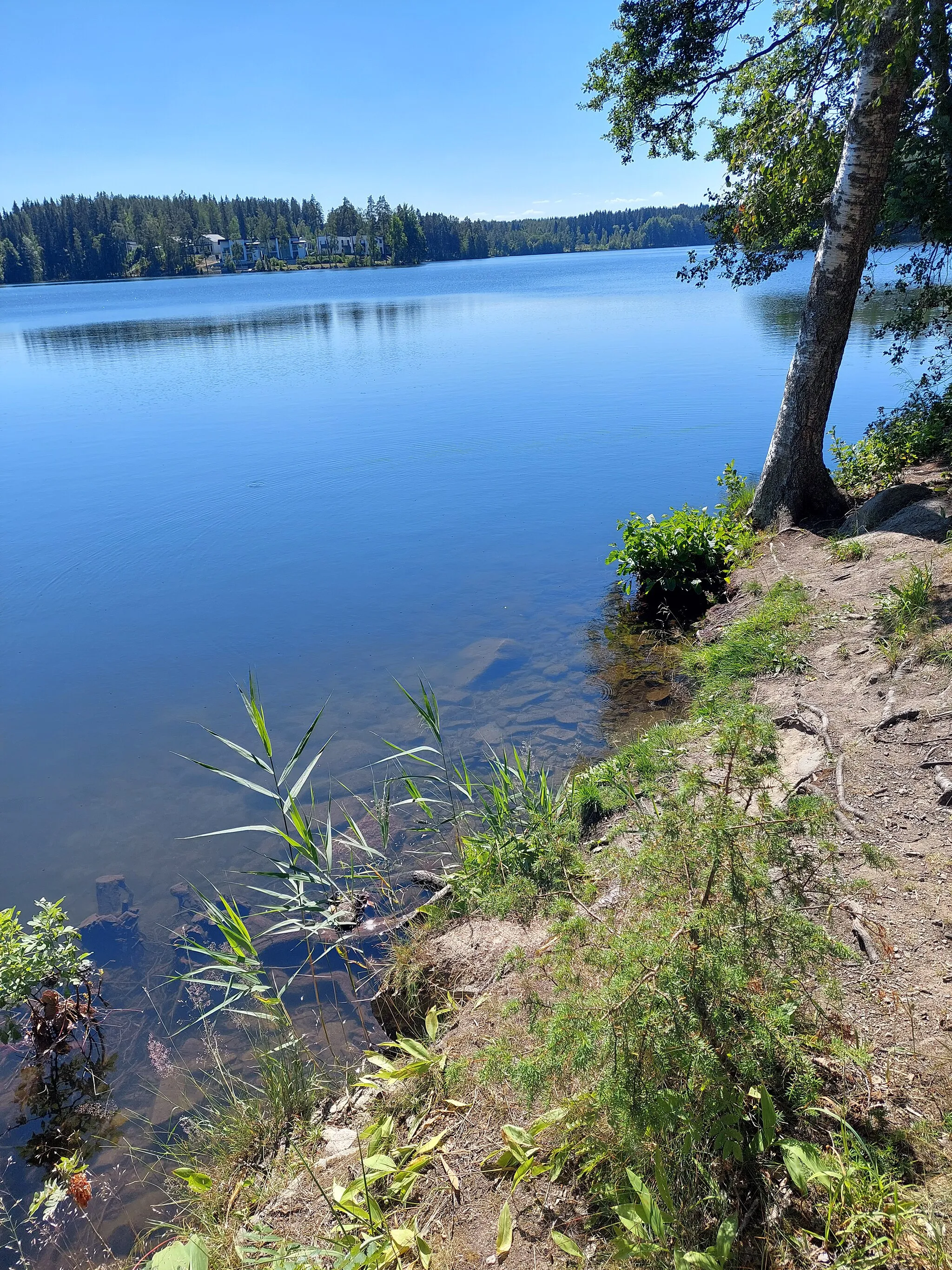 Photo showing: View over lake Veittijärvi