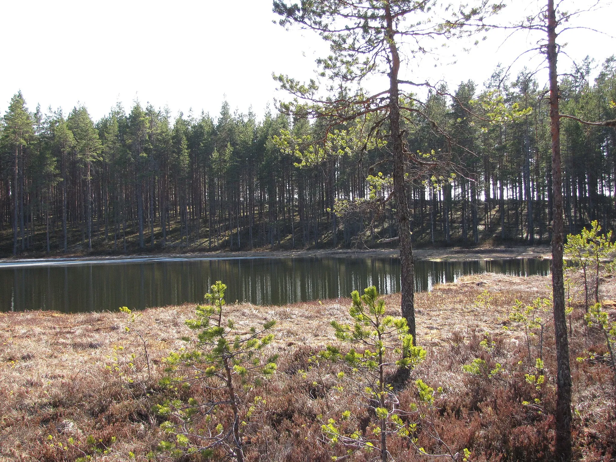 Photo showing: A kettle pond "Lapinkaivo" in Nummijärvi village, Kauhajoki, Finland.