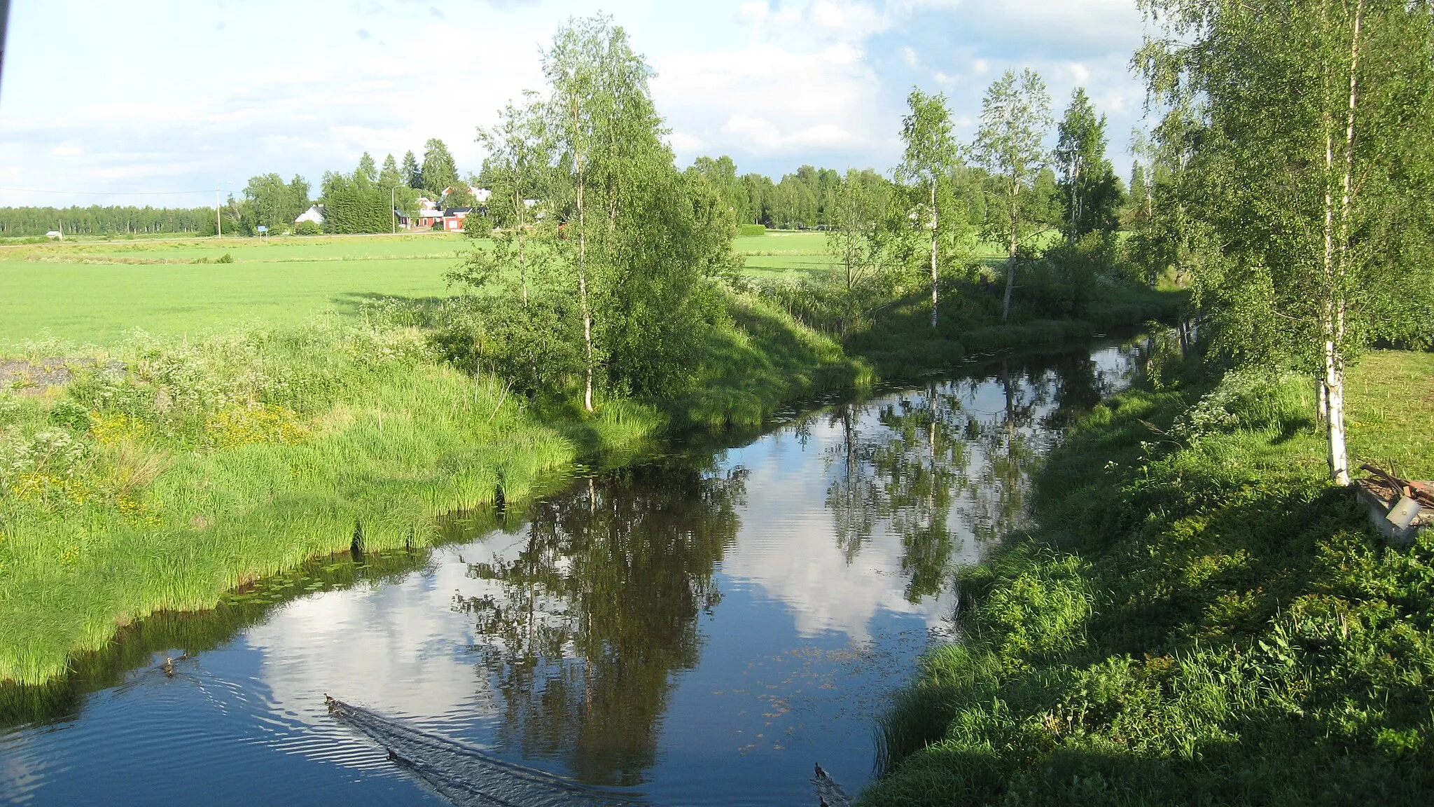 Photo showing: Laihianjoki river in Laihia, Finland.