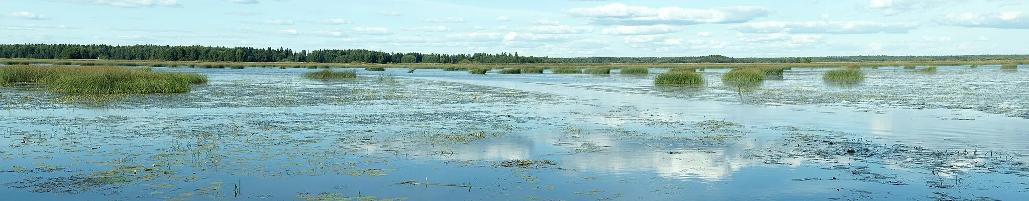 Photo showing: Panorama of the delta of Kokemäki river in Halssi, Meri-Pori, Finland.