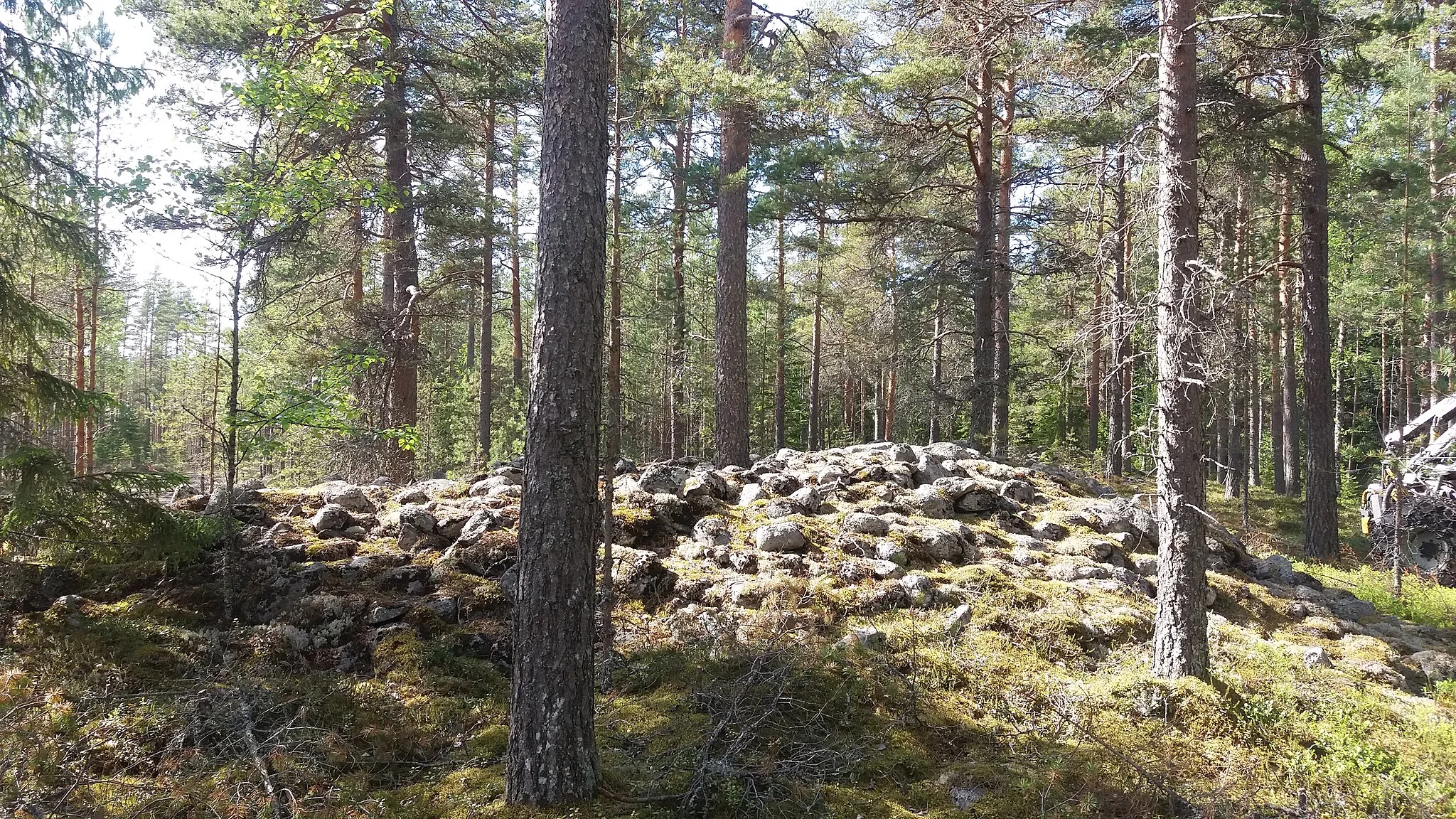 Photo showing: Bronsåldersrösen, på bygdemål kallas denna plats för "Steinringan". Finländska arkeologins nestor Johan Reinhold Aspelin skriver om dessa forngravar, vid ett besök 1869: Nästan 8 nya verst österut från Sideby kyrka finns, längs vägen till Ömossa, Heide(11) namngivna hus. Därifrån skiljer åt norr på en ås belägen ängsväg, som leder till Kanalid, prästgårdens äng. När vi reser denna väg tre nya verst kommer vi till ett vägskäl, där vi stannar, eftersom framför oss reser sig i den ganska jämna och urkärnade åsen fyra gravrösen(12), vilka står i rad från söder till norr i en gles tallskog. Det första och det tredje är nästan små och om det andra sägs det förr ha hittats ett litet ben. Denna röselinje tror jag Warelius menar, när han säger 3½ mil(13) (gamla verst?) från stranden ha funnit en rad rösen, varav R. Alcenius(14) hade utforskat en och funnit kol (Suomi 1848:62).(15) Jag hade inte trott så långt borta från denna kust kunna hitta gravrösen. Andra röset är nuförtiden 18-20 alnar kors och halvt tre alnar högt. I mitten är en gammal urgröpning, i vars botten finns en nästan fyra alnar lång och kvartal två alnar bred stenkista vars längdriktning följer åsen.(16) Kistans nästan ¾ aln höga sidor är av likartade jämna stenar resta mot sandåsen. Två av stenplattorna i sidan är tydligen delar av en större platta. I botten av kistan letade vi förgäves efter kol eller benbitar. Detta dike har inte gjorts under mannaminne, av den anledningen att Svenskarna dessa rösen känner bäst under namnet stenringar. Endast det fjärde eller nordligaste röset är nästan orört. Ja, även om det även där i mitten finns en mindre sänka. Detta röses studie kunde jag inte, av det torra vädret som det var, på grund av brådskande hö-tid få tag på män. Ett femte mindre röse, vilken vi(17) inte kom att se, tillhör en förgrening av vägen åt söder på högra eller västra sidan av vägen. När vi lämnade Heide hörde vi också att på en backe söderom Heide hittas en handfull jättröjsor(18), men även de har nedgrävningar i sina mittpartier. Se vidare: http://harriboy.blogg.se/2011/february/johan-reinhold-aspelins-arkeologiska-resa-i-k.html