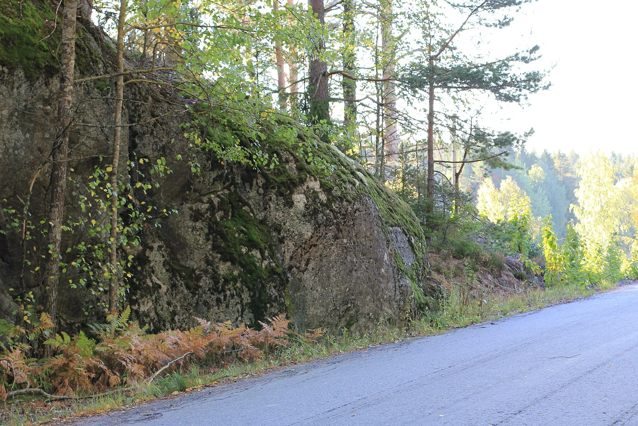 Photo showing: Memorial for building road between Yläne and Riihikoski, Uusikartano village, Yläne, Pöytyä, Finland. - Memorial is a carving on rock by the road (present connecting road 2043) between Yläne and Riihikoski village in Pöytyä. Road was completed in 1895. The carving is "F. F. B." and year "1895", F. F. B. meaning Frans Fredrik Björni (1850-1930), representative in 1897 Diet of Finland; he had a strong influence in building the road. Date of the carving is not known.