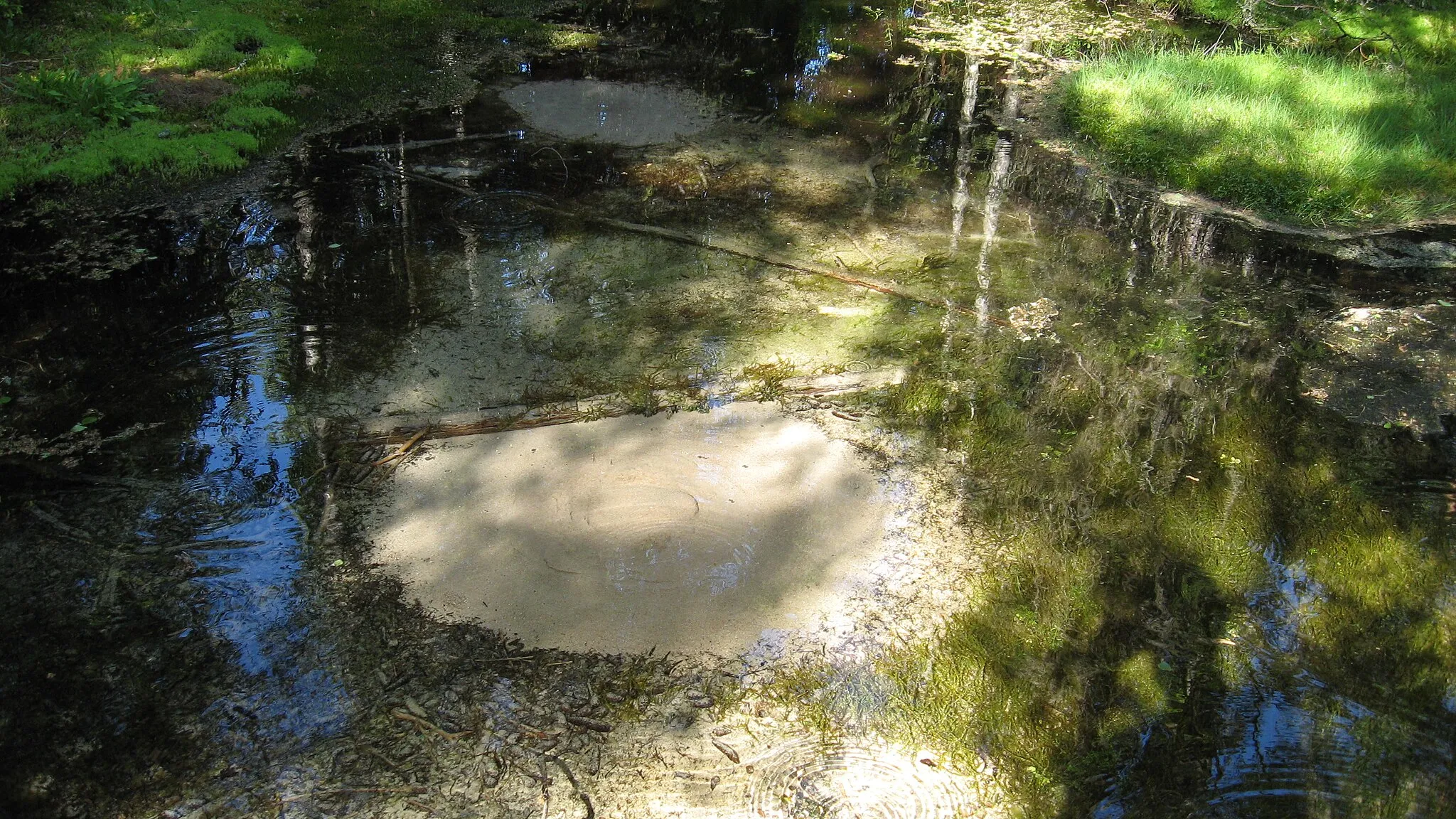 Photo showing: A spring in Lauhanvuori National Park, Isojoki, Finland.